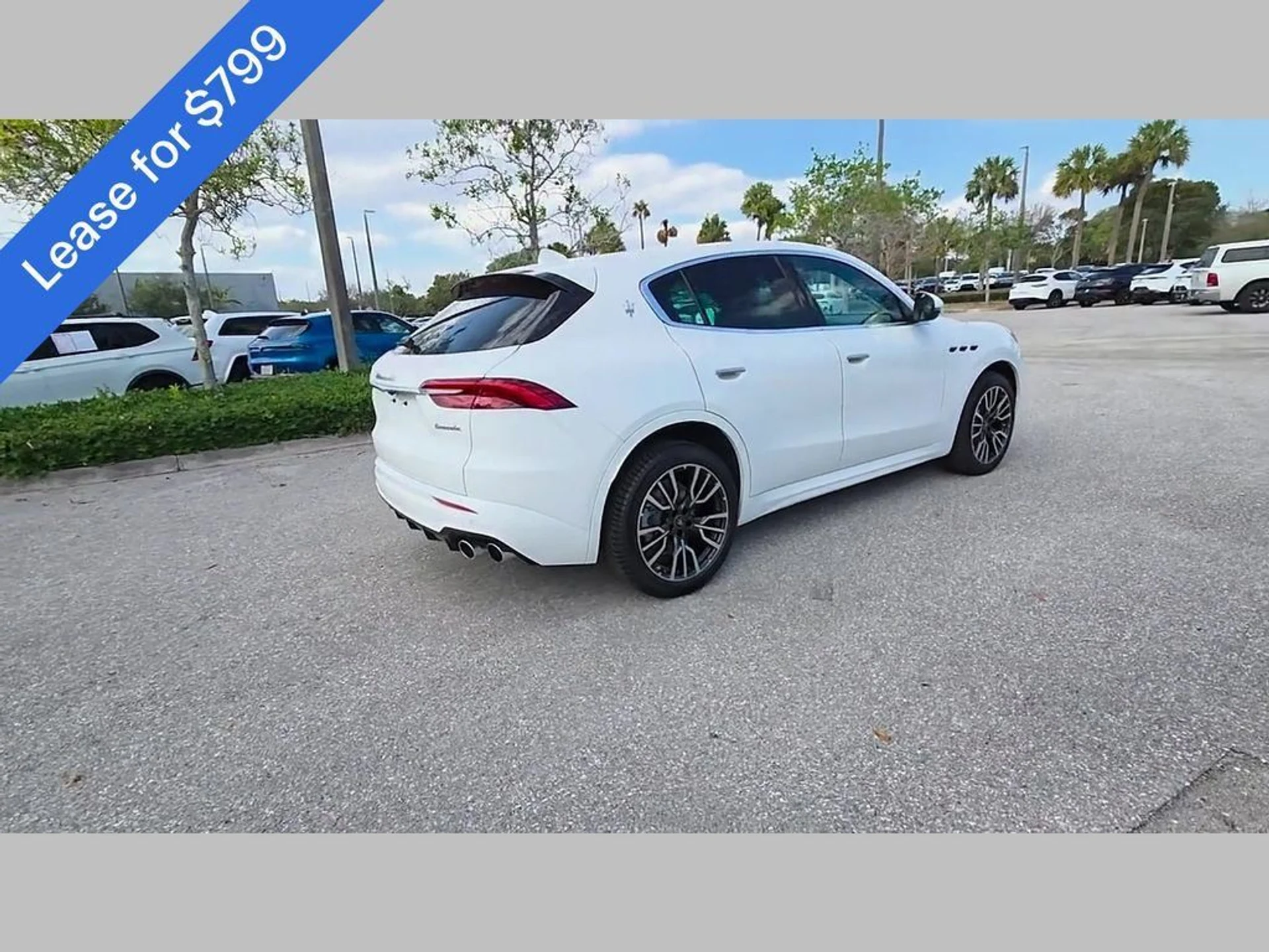 mph036_1205735761_b8094a55b406a5fca8e70040d601f5ee_9bb079d0ea