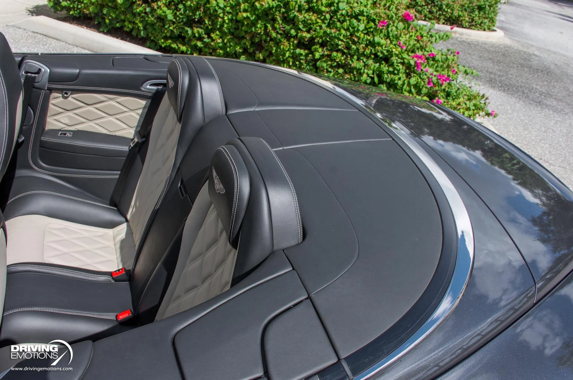 mph036_1227025487_871_p37_l_3a05d00f31