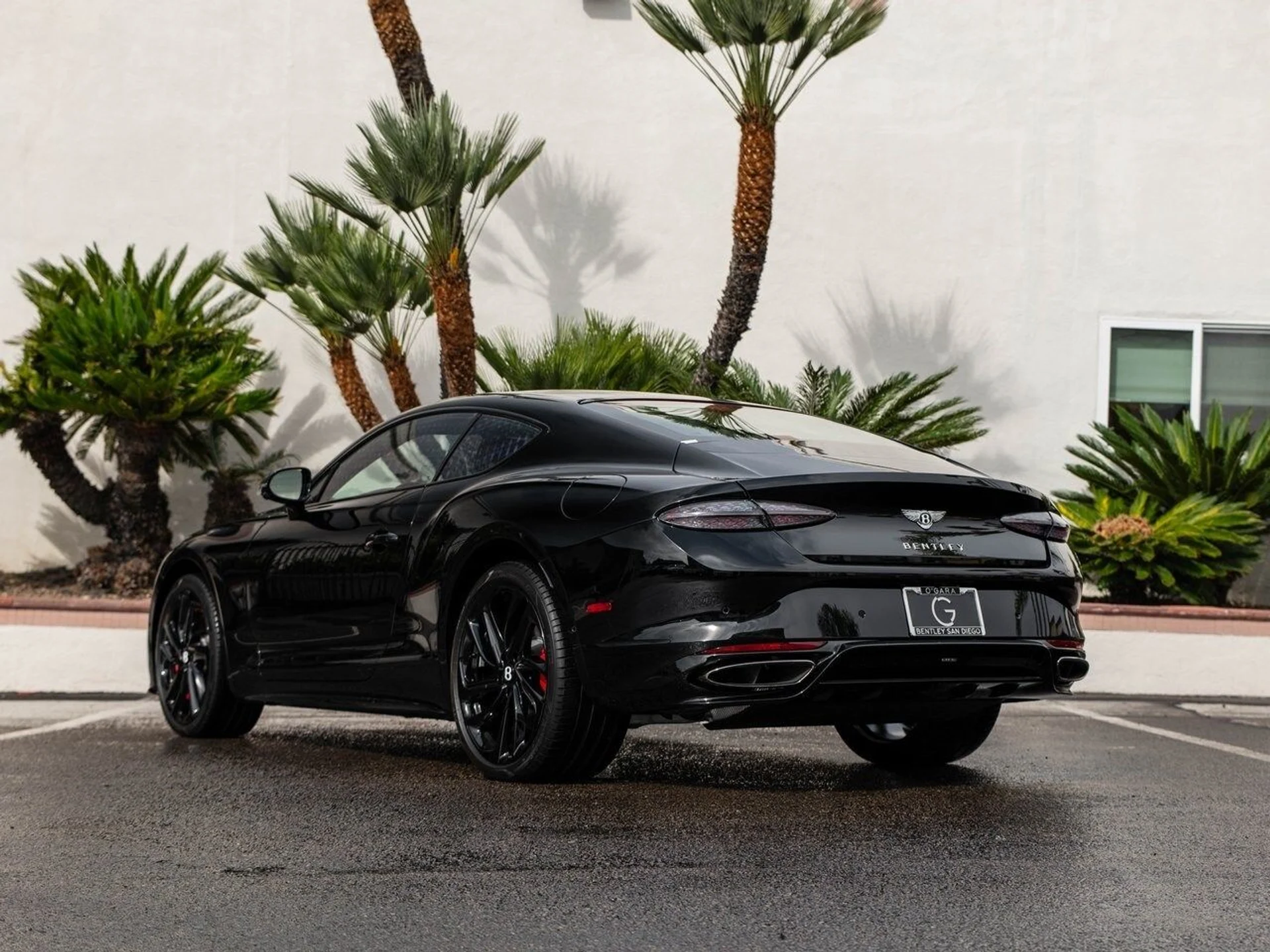 mph036_1232590805_765c18b22e50ac2e0b87e284b984ef7fx_7d3f0b6aa1