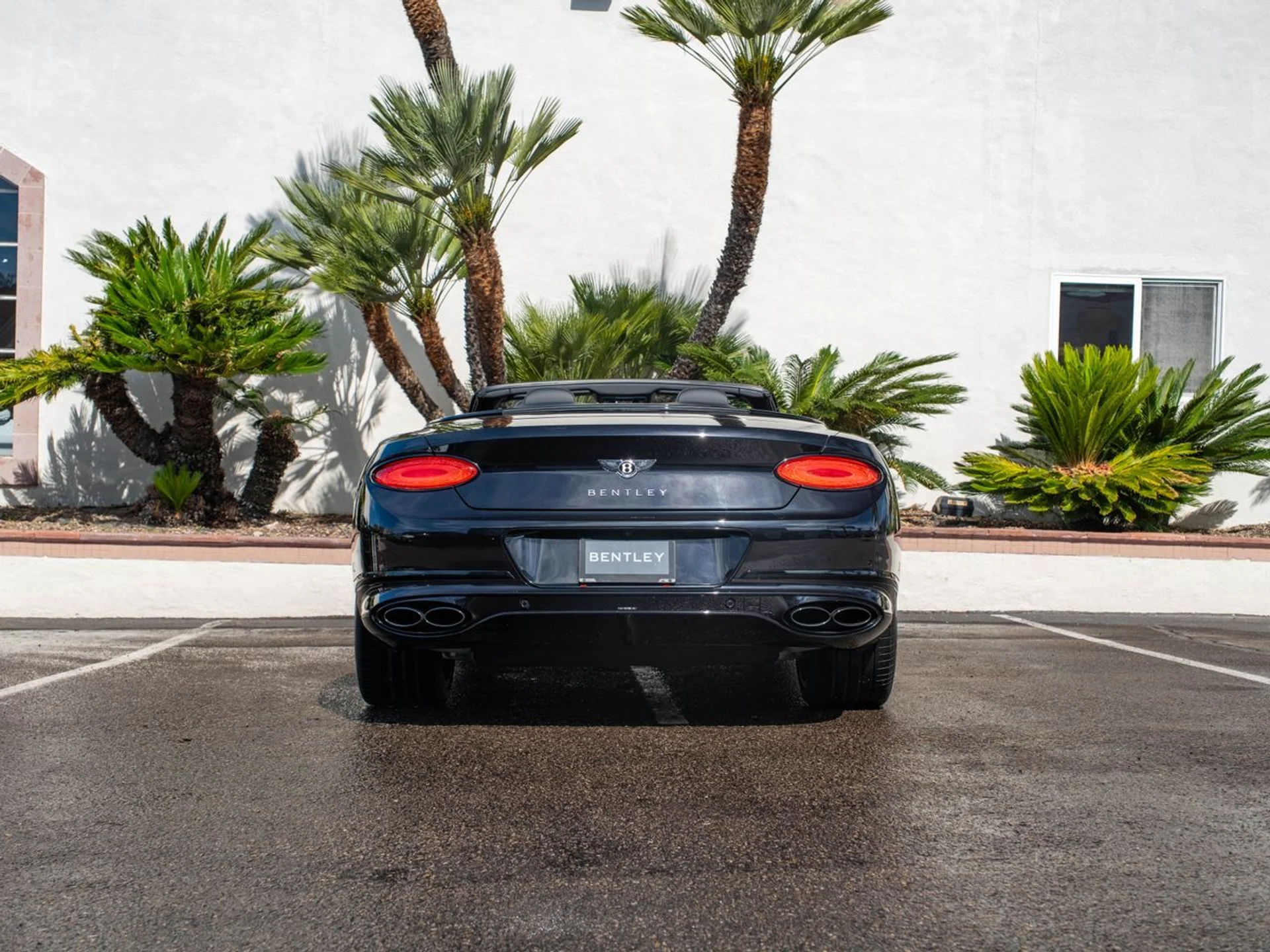 mph036_136729647_832c8104403b499c1ccc2dc0a9493d37x_150b39443c