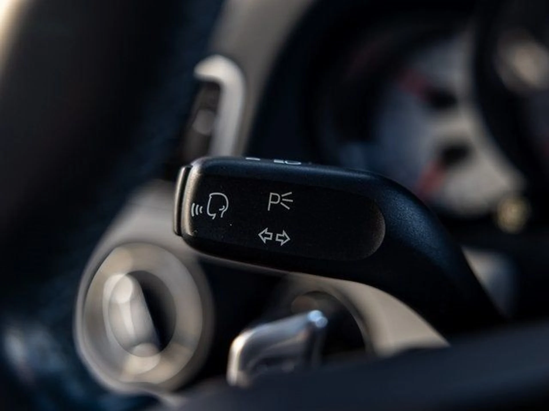 mph036_1695734163_37_55f7ccd5b9