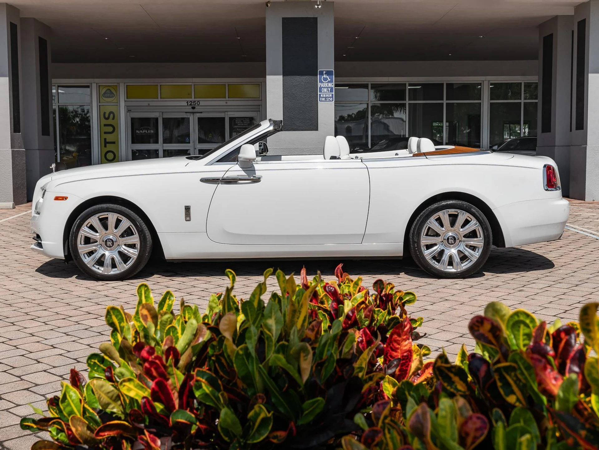 mph036_1733718871_Used_2016_Rolls_Royce_Dawn_2dr_Convertible_1782414116_6b107c6f09
