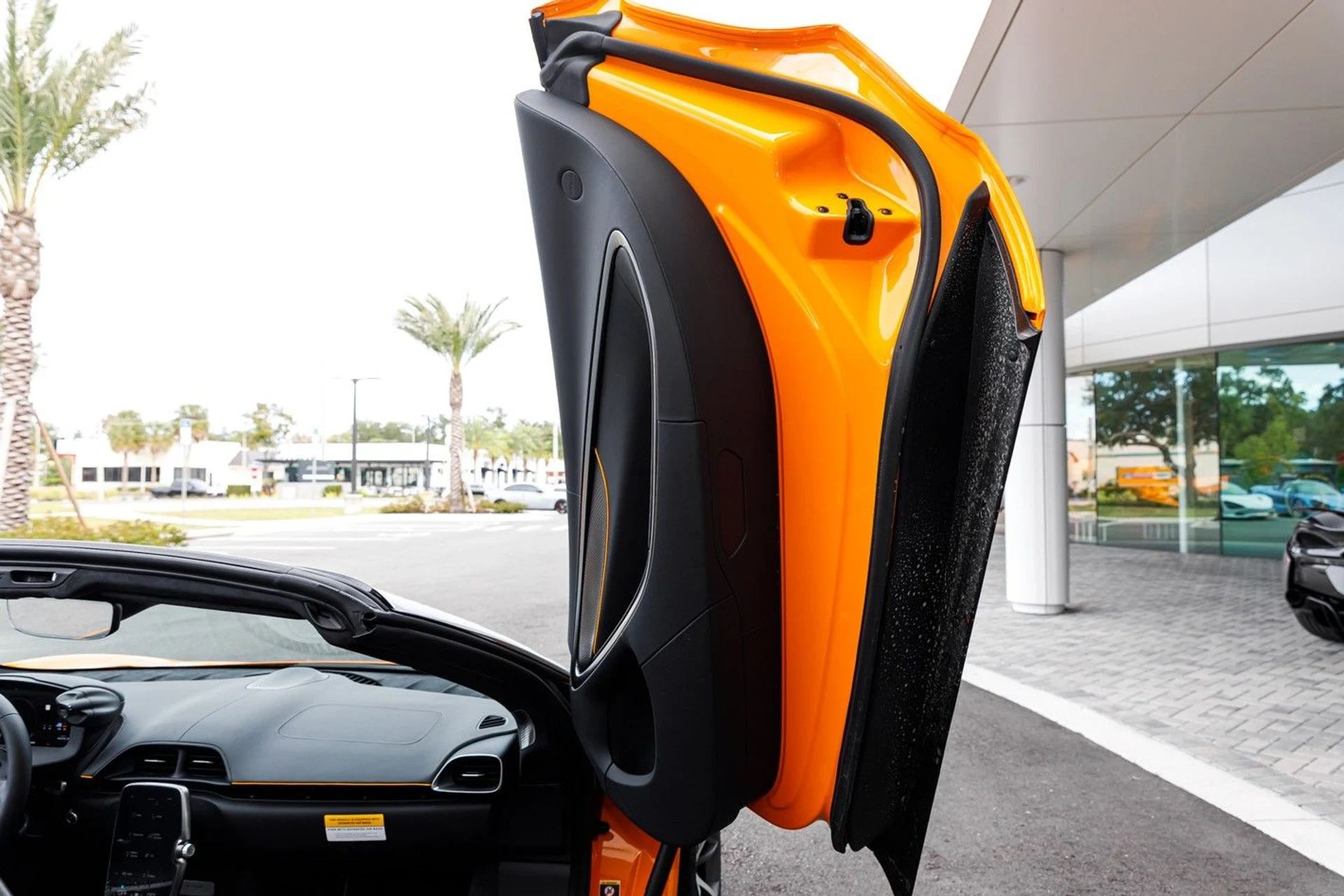 mph036_1770180252_636_p38_l_d49d14ac1f