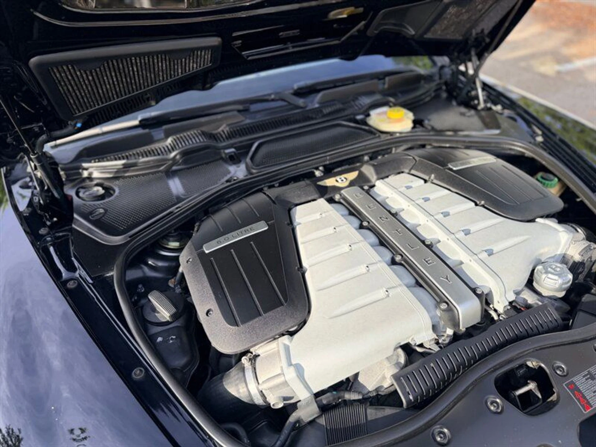 mph036_1772956785_9fdf8dd4a6_800_40daa668b4