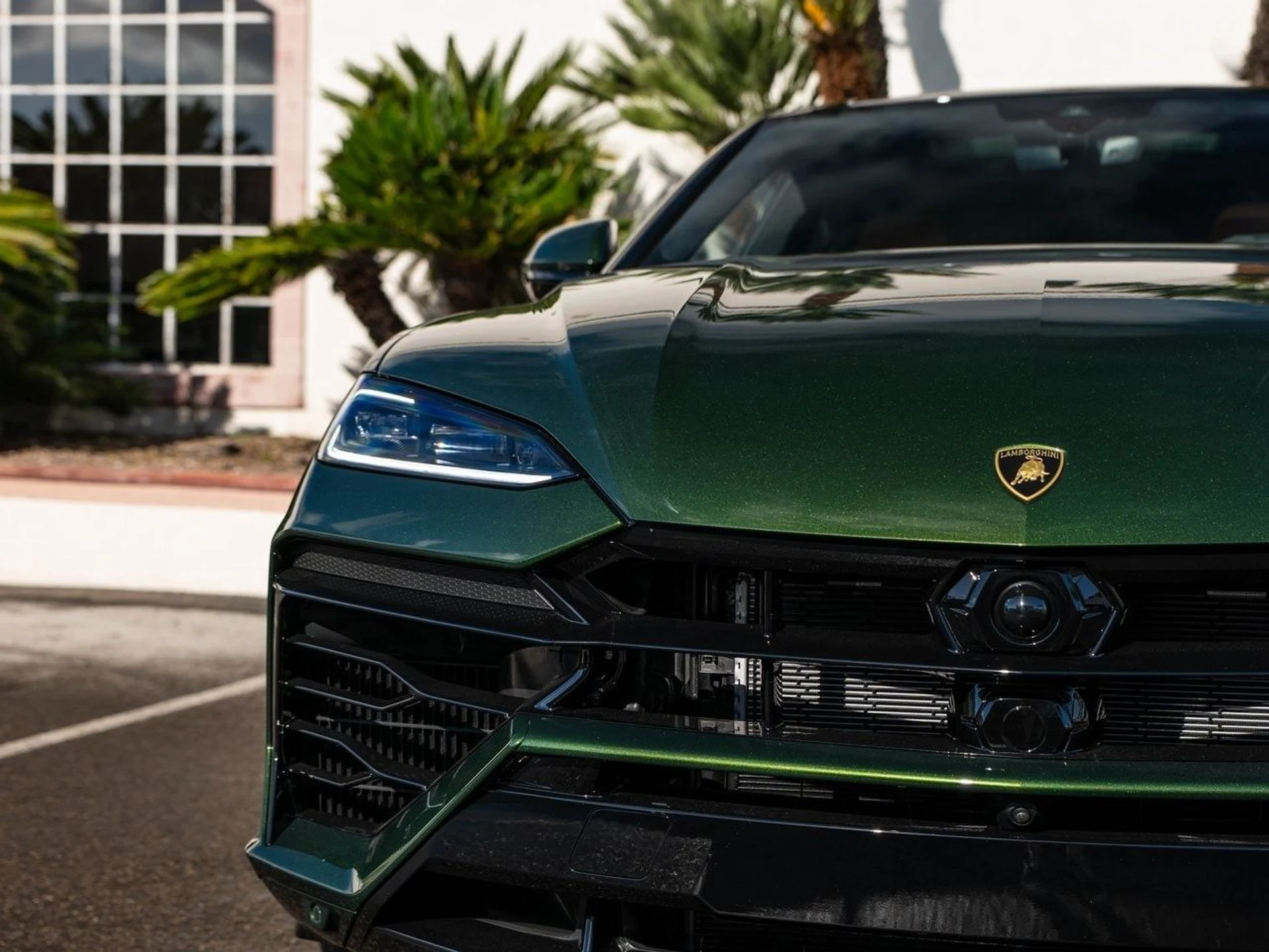 mph036_1962817466_91a3cbc8ccb02f53684d10492e59c4cex_8c322751f1