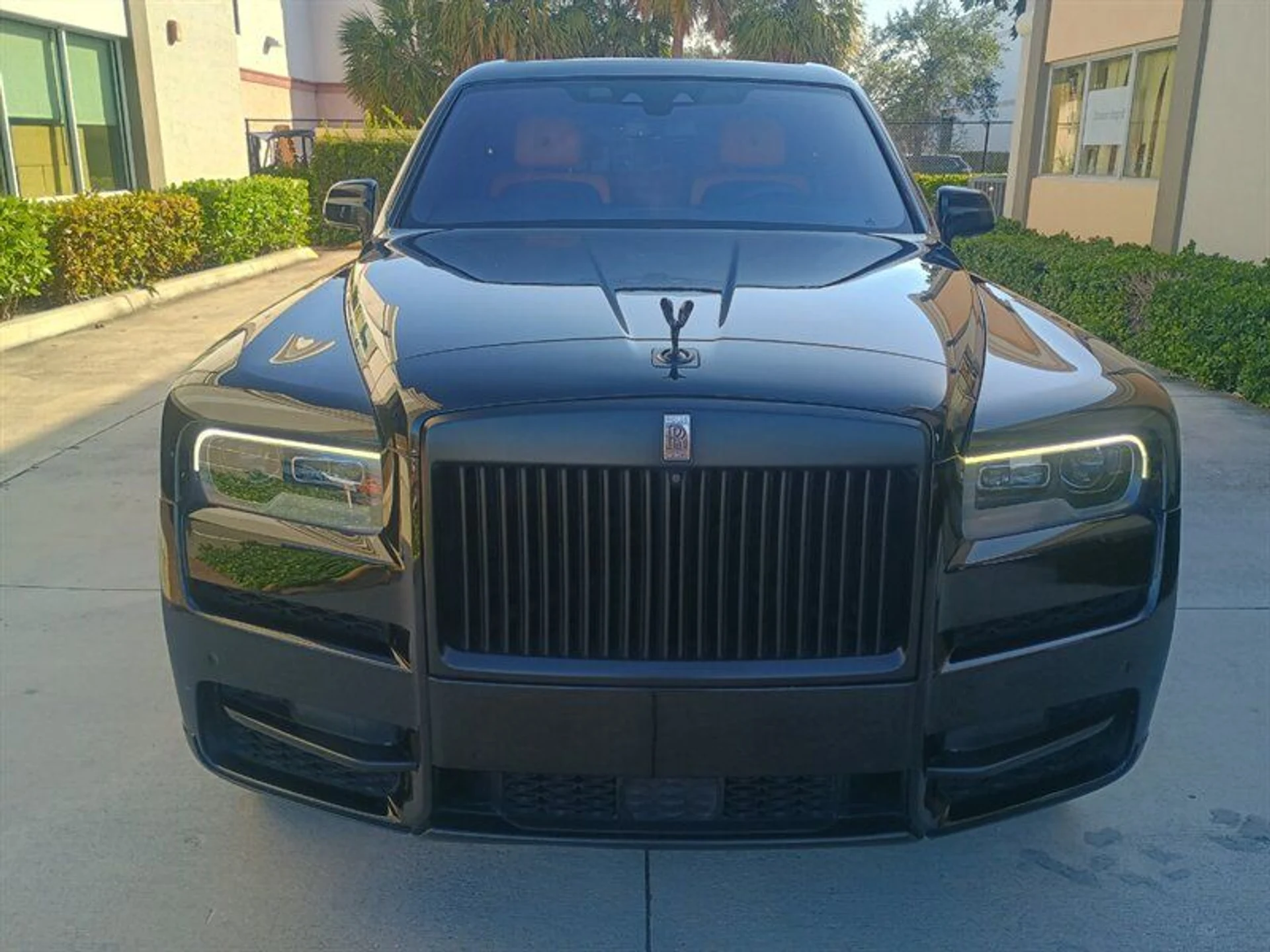 mph036_2018538072_803d1bffa7_800_307d847bad