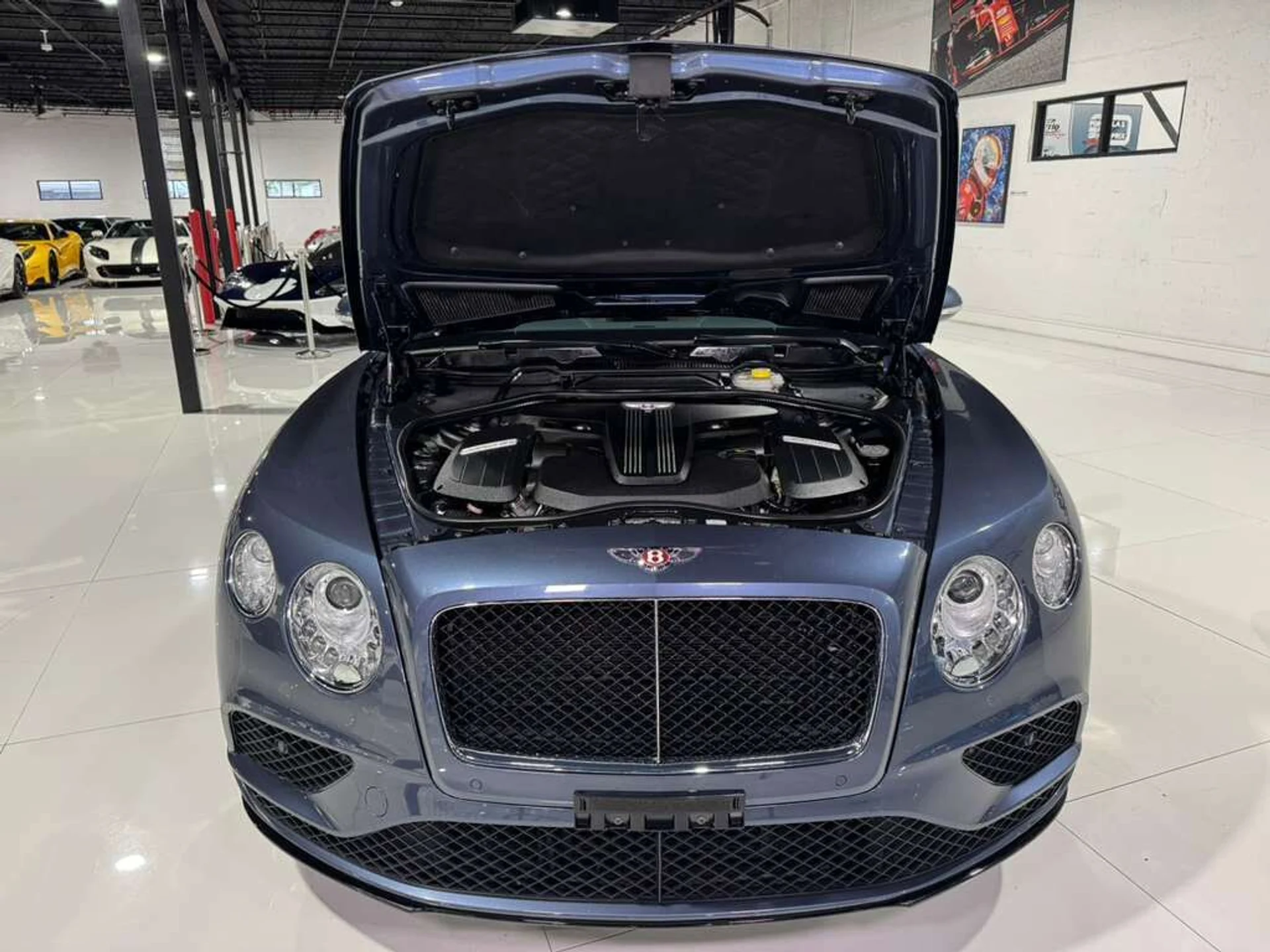 mph036_2107594766_e82c990afd08b33a5a41eccfdd5faff4_c9519e2509