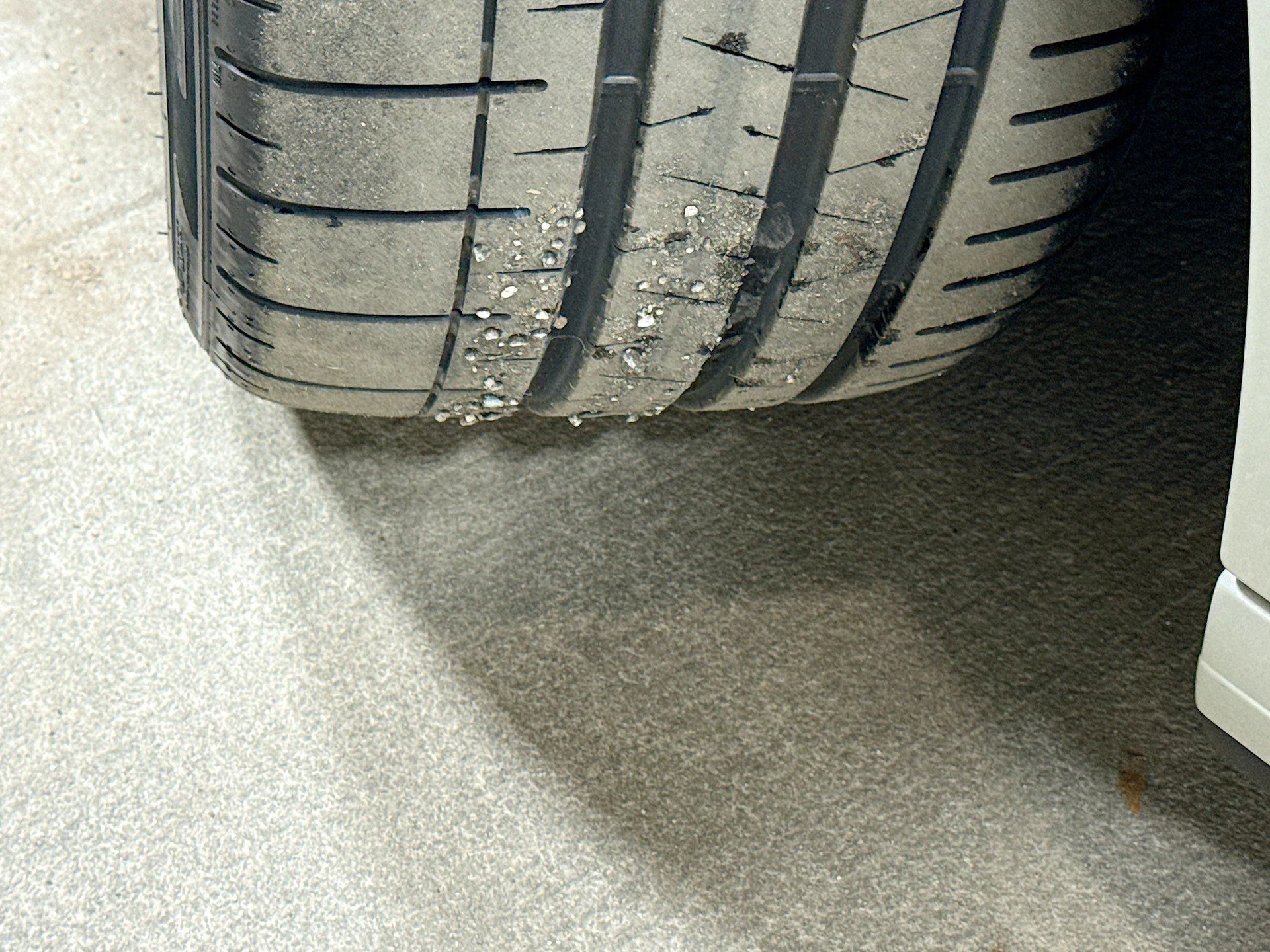 mph036_2212975653_448608dc16855938d5a6ccb1e5e0110d_01f8601ab9