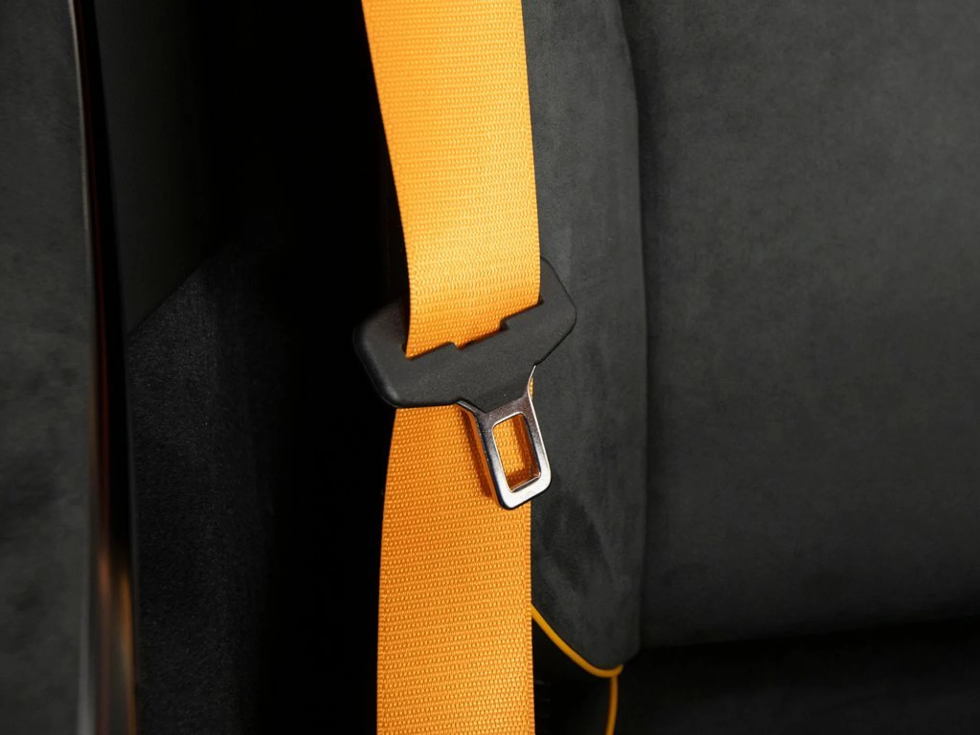 mph036_2261011222_6a4d95f660a3f52ac8573c94bc503a9cx_f25e5a0126