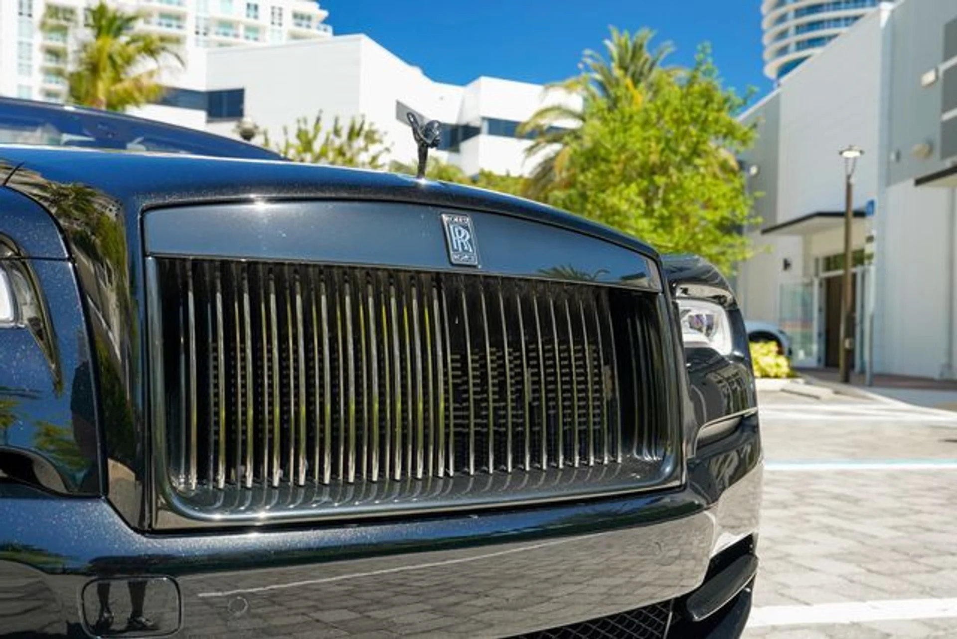 mph036_2302771085_23014492_37_6e88d5f6d1