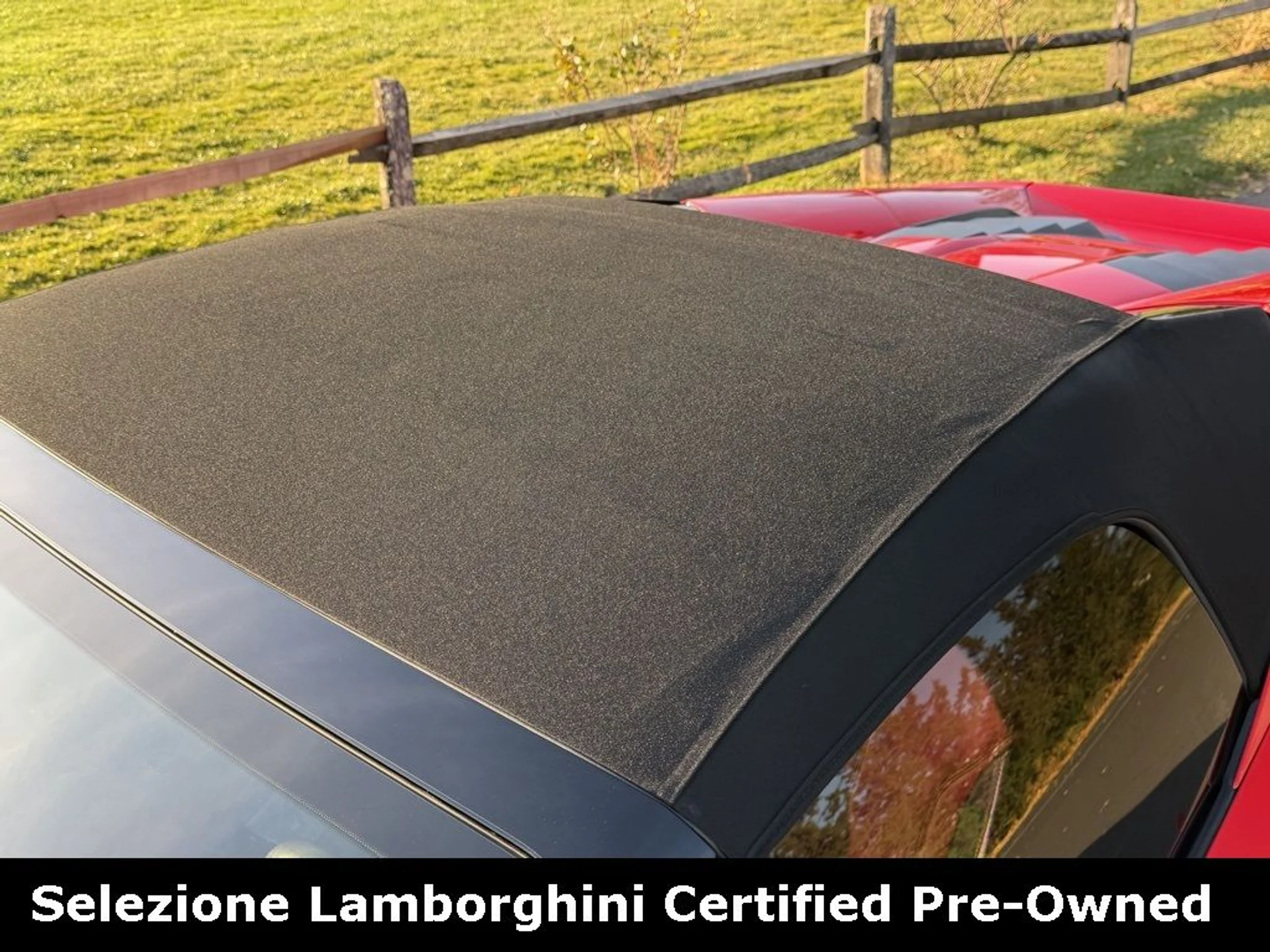 mph036_2356389673_4526230fc5dd998b2559dd61f3c39f7ex_995f8a1ed9