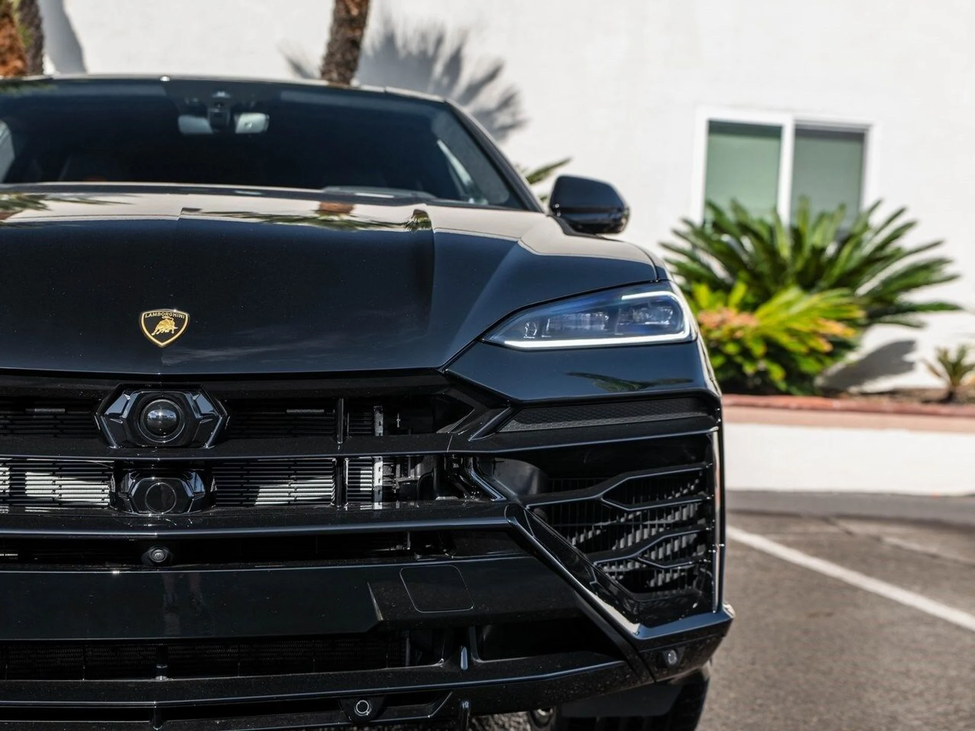 mph036_2461262396_8d643727c9ec62bc0289f09a839b2fdbx_92d9681dae