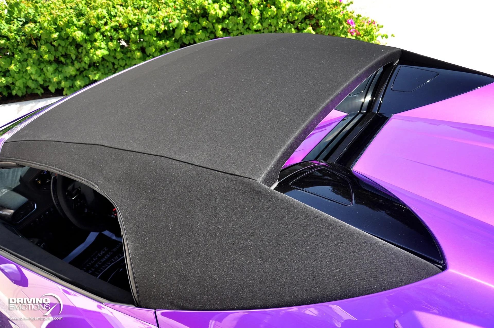 mph036_2502827656_863_p37_l_6218ddb09e