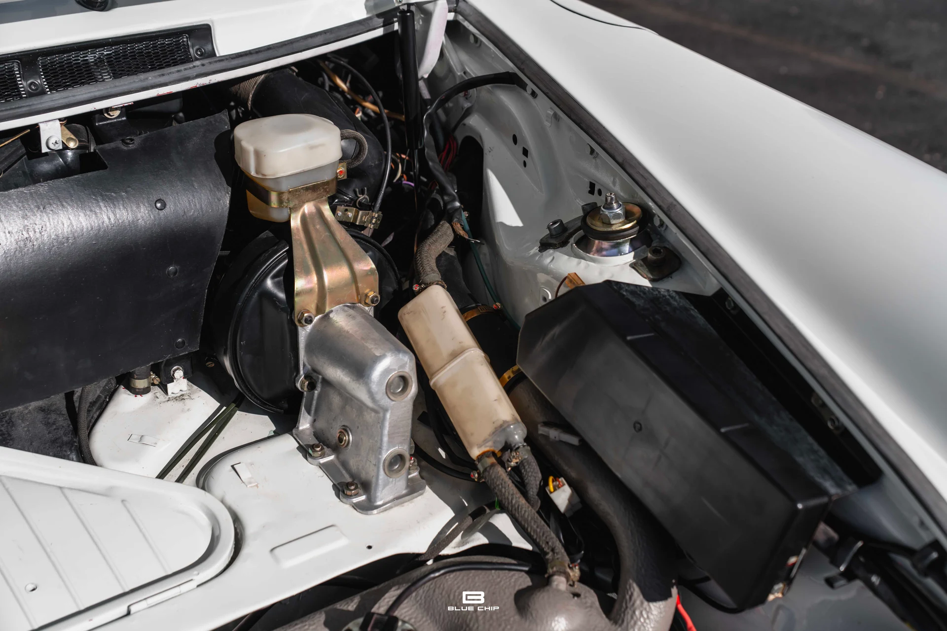 mph036_2557111693_6955891f19f7b933e4037b5e_A7409922_df0f9e850c