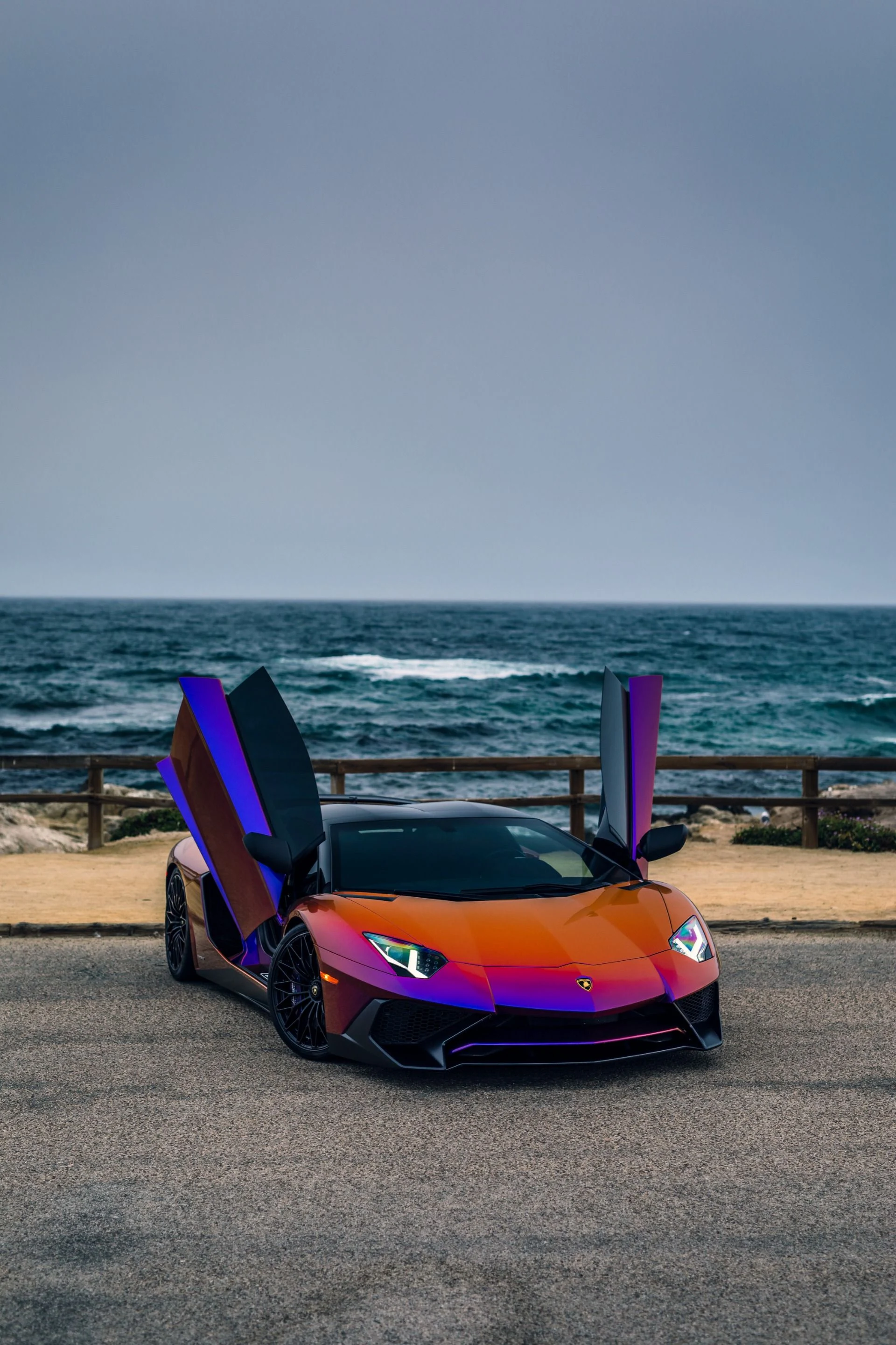 mph036_2562851721_8742_p37_l_7a87d1c917