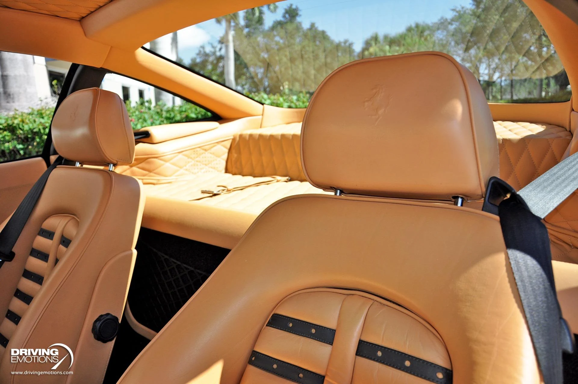 mph036_2658144323_284_p37_l_766ae268e5