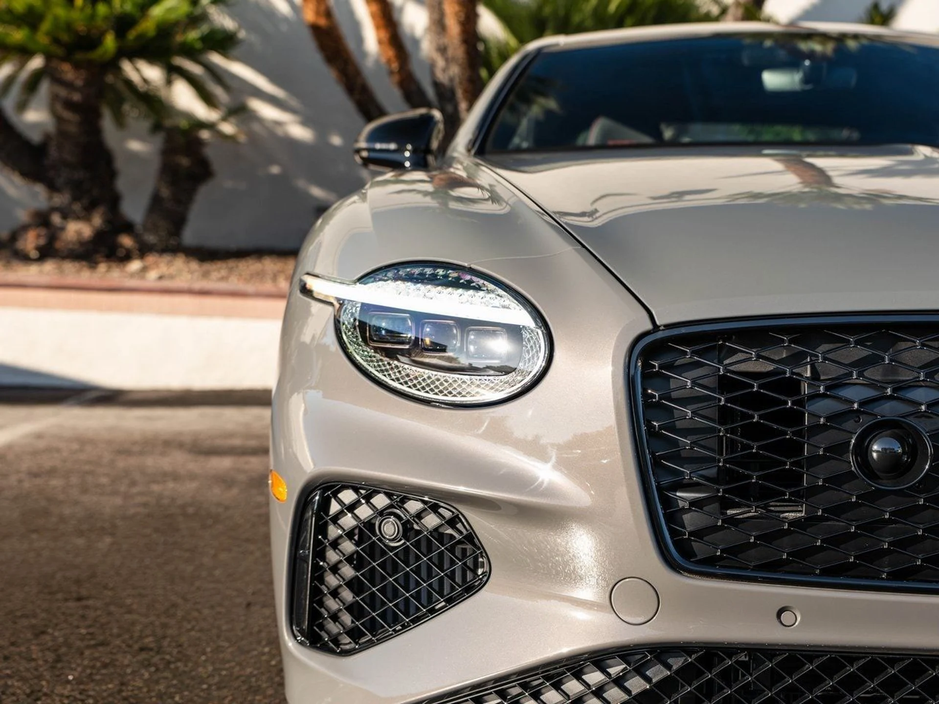 mph036_2663675416_f499be5fbfcfab901f58292cddd76642x_f6e34c81ad