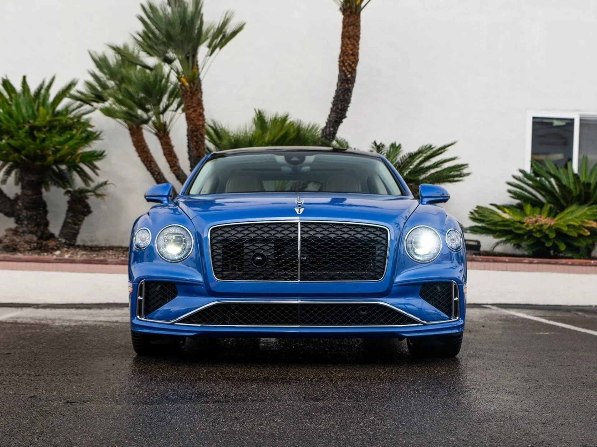 mph036_2680508400_46969b150967d7f3a9ba6abaec42f2f2x_333cc41cab