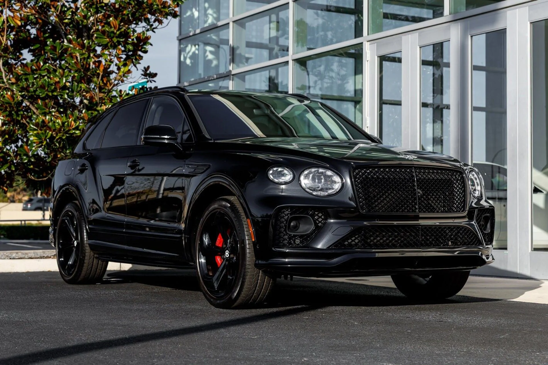 mph036_2802885842_77439aa573d96975e2577ae26aac7e5fx_2e8ca6455c