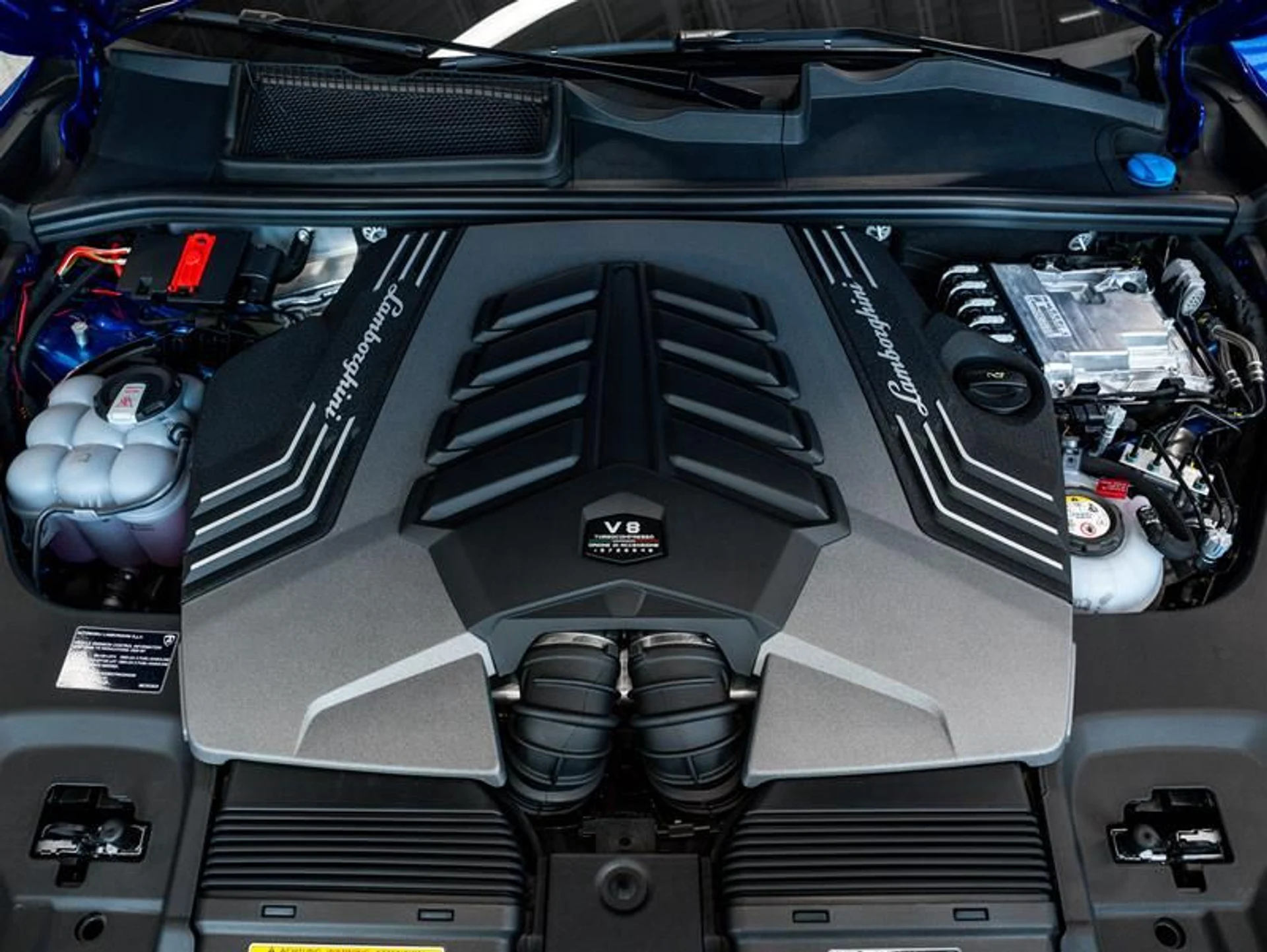 mph036_2868729765_zvgz2tn3_9440dbec28