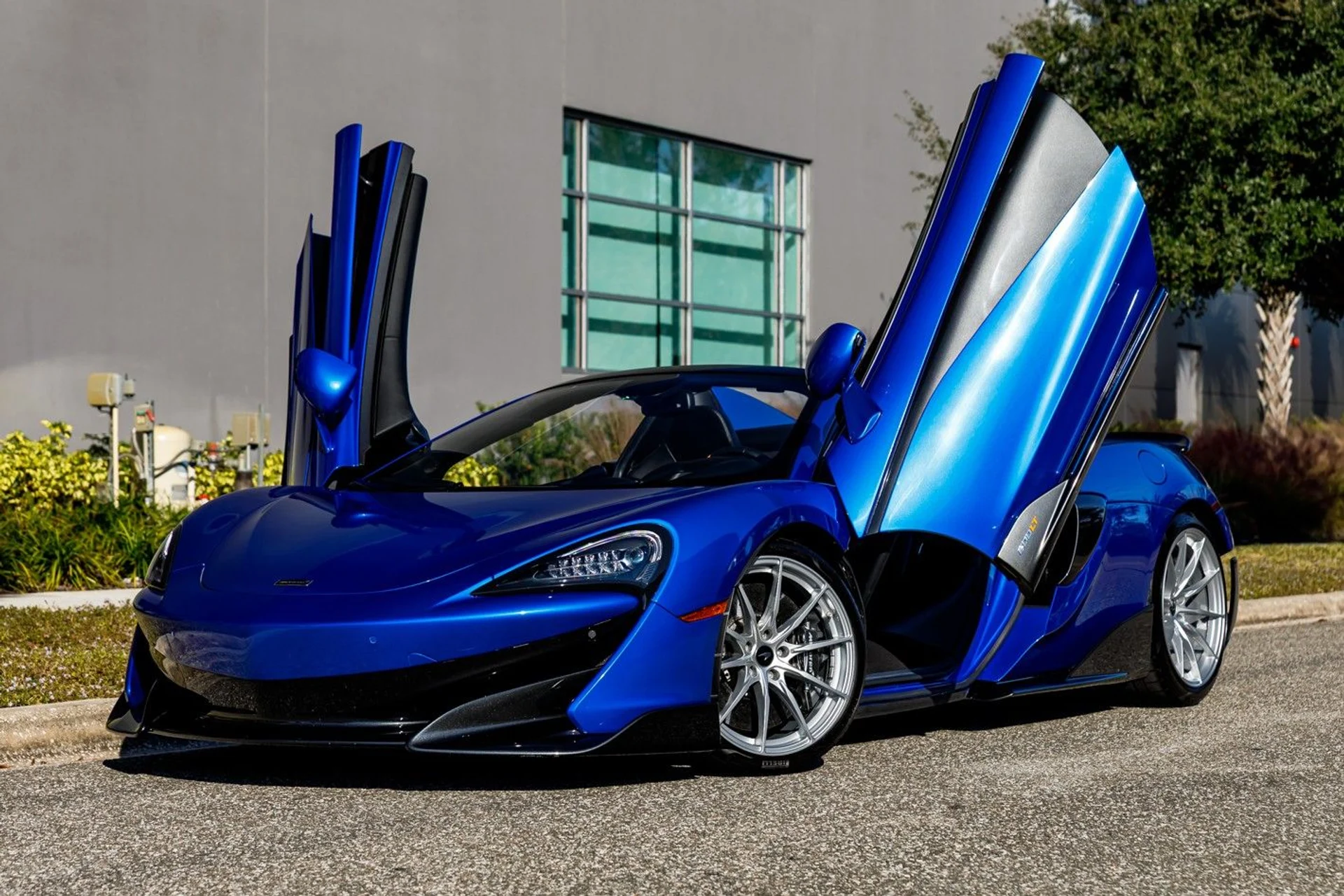 mph036_3079505811_14_p37_l_f80c744ef0