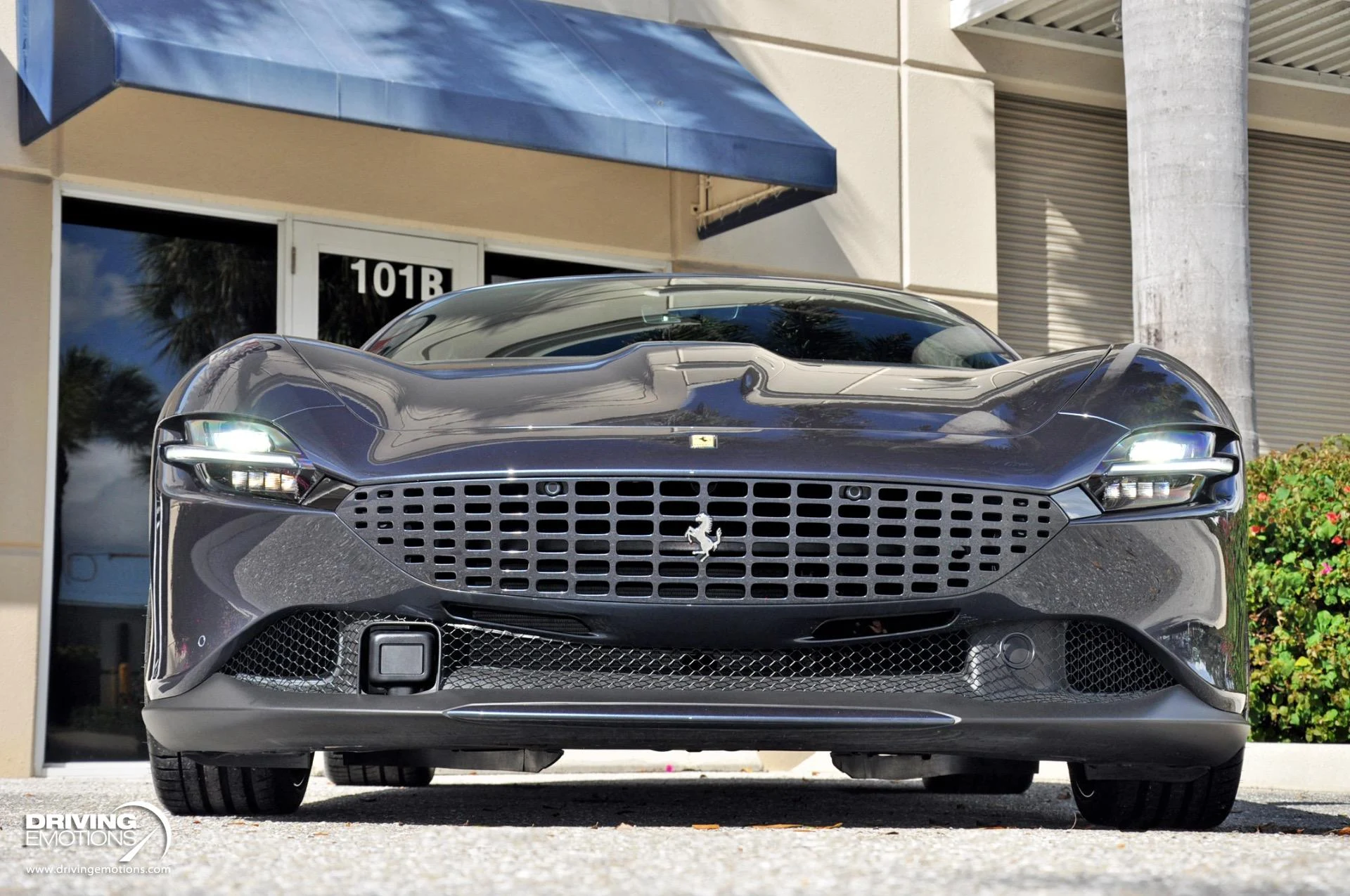 mph036_3081739171_882_p37_l_25e0b916e3