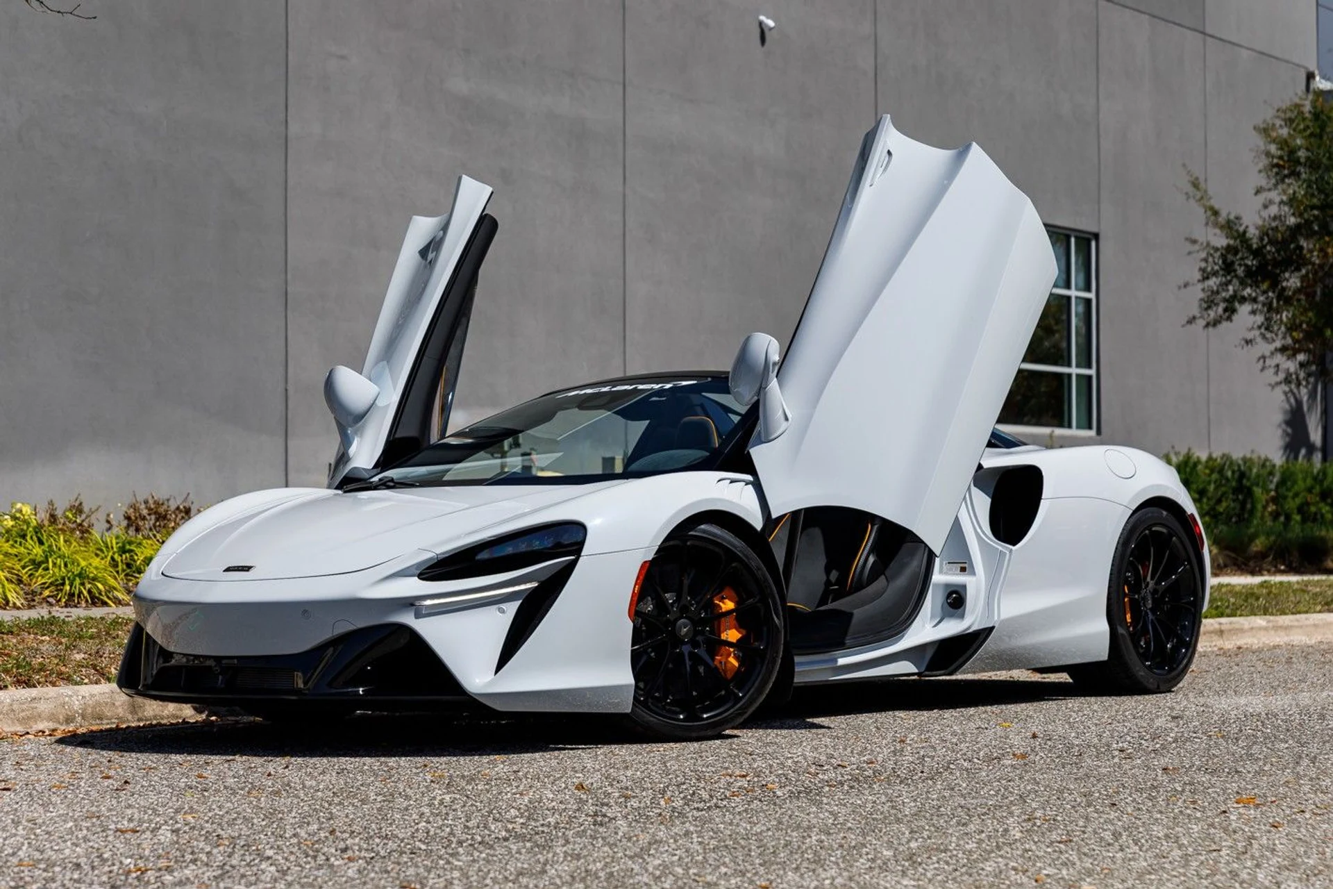 mph036_3411421922_473_p37_l_3df3b83965