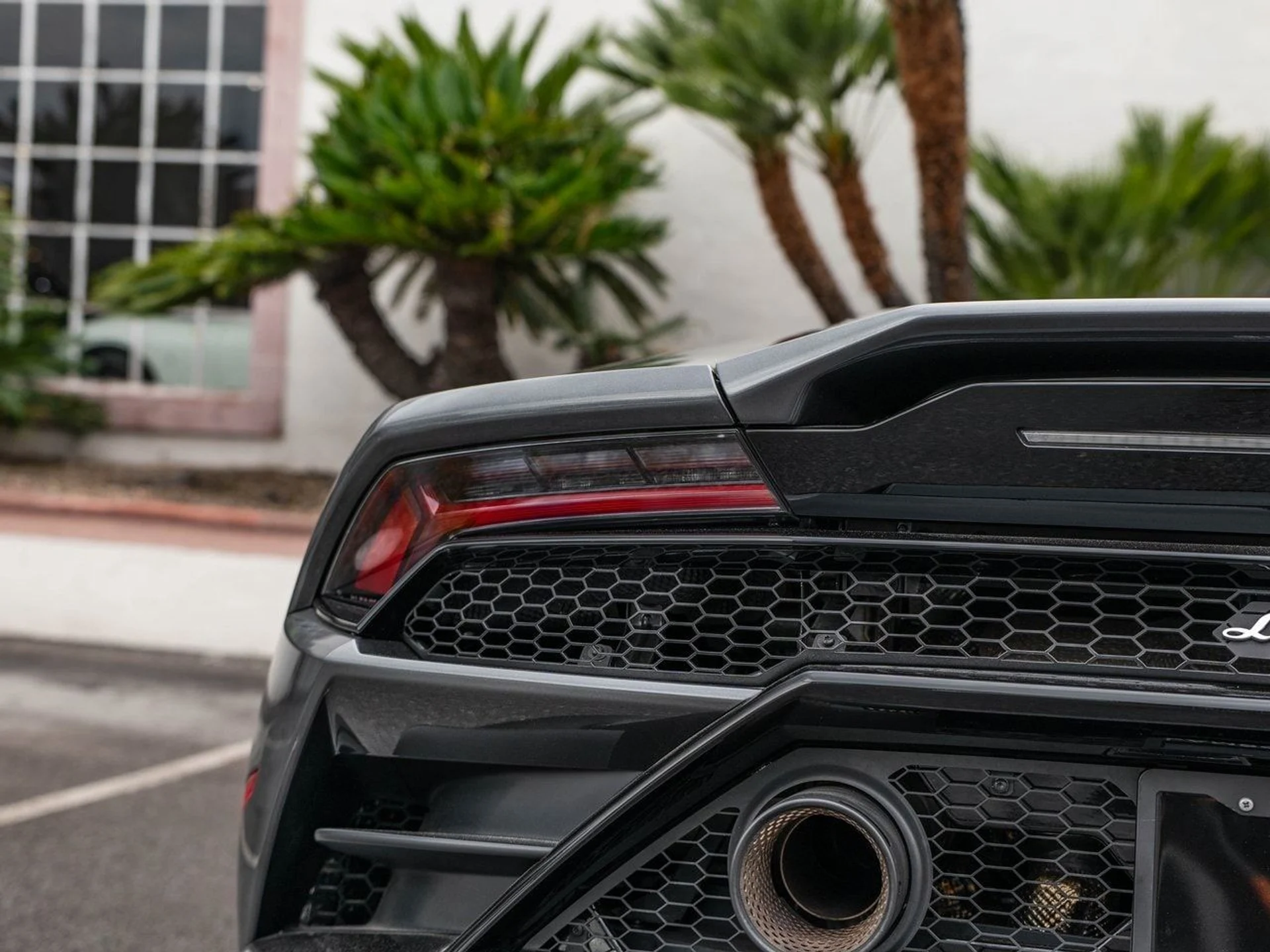 mph036_3584350462_65e216e2135a4fb581096171e43a37eex_b73f2e97bf