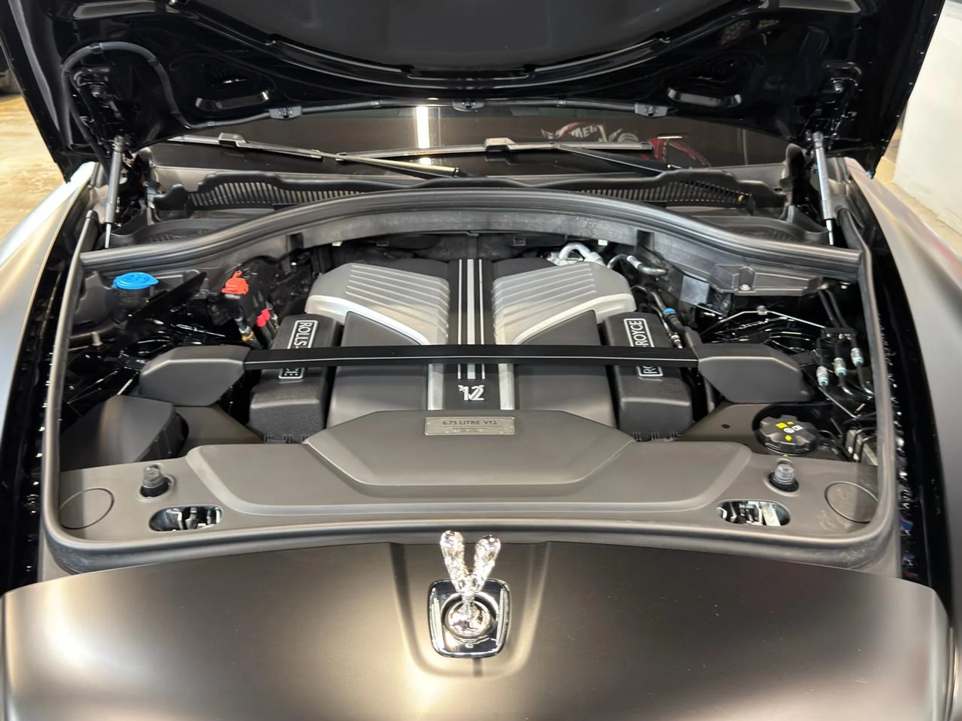 mph036_361874916_639119432863735274_3aa6cae71f