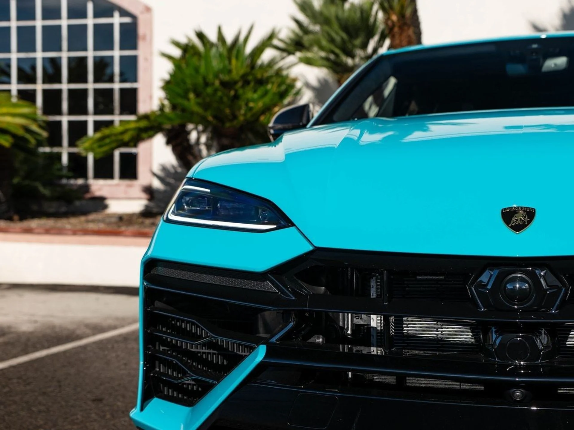 mph036_366517733_b4808feb9821992fd1c34ec60a66a734x_eecd9bc5f6