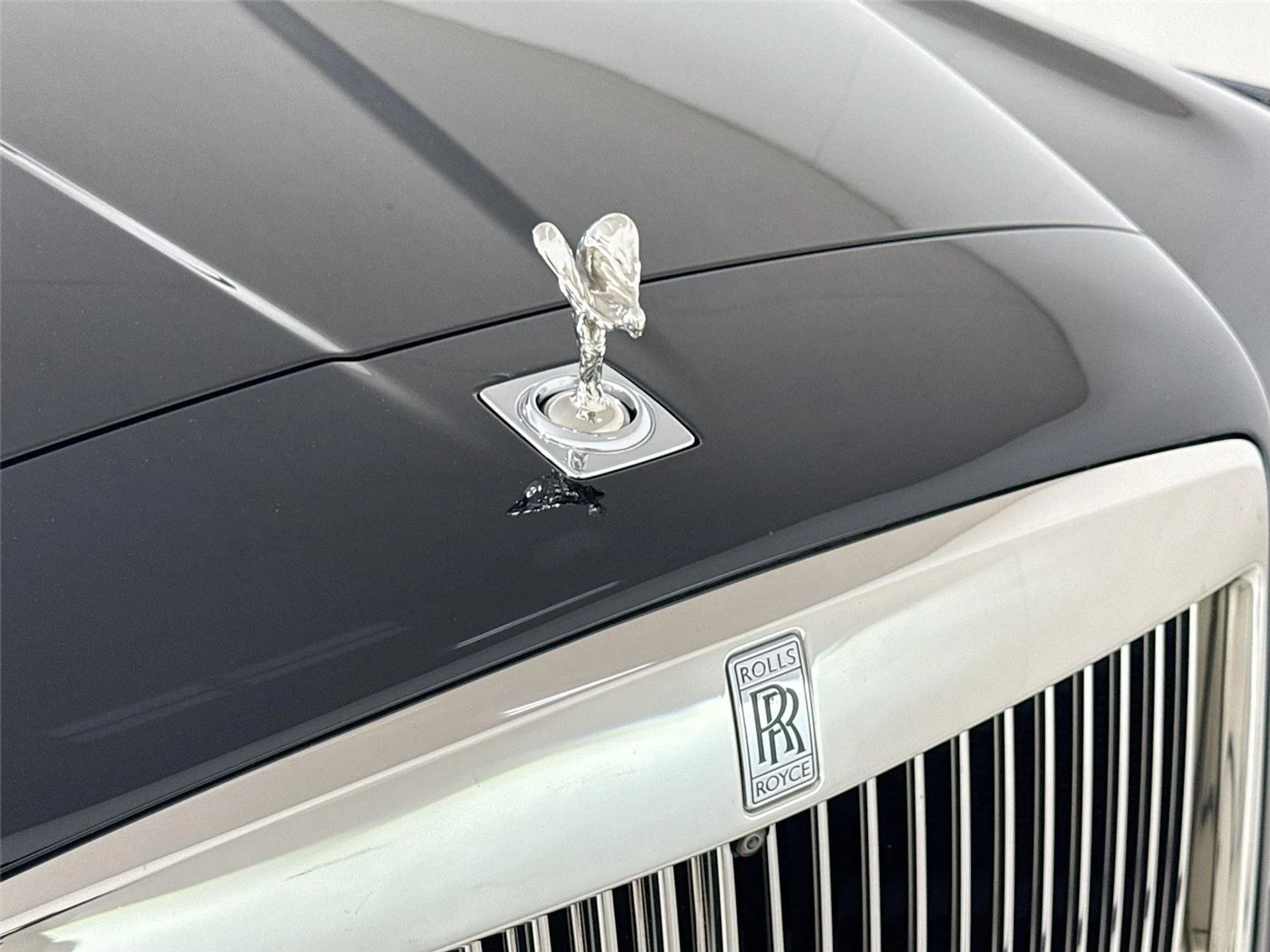 mph036_374084709_86127504f197e9844ed99123baeb1a77_4684d28b5a