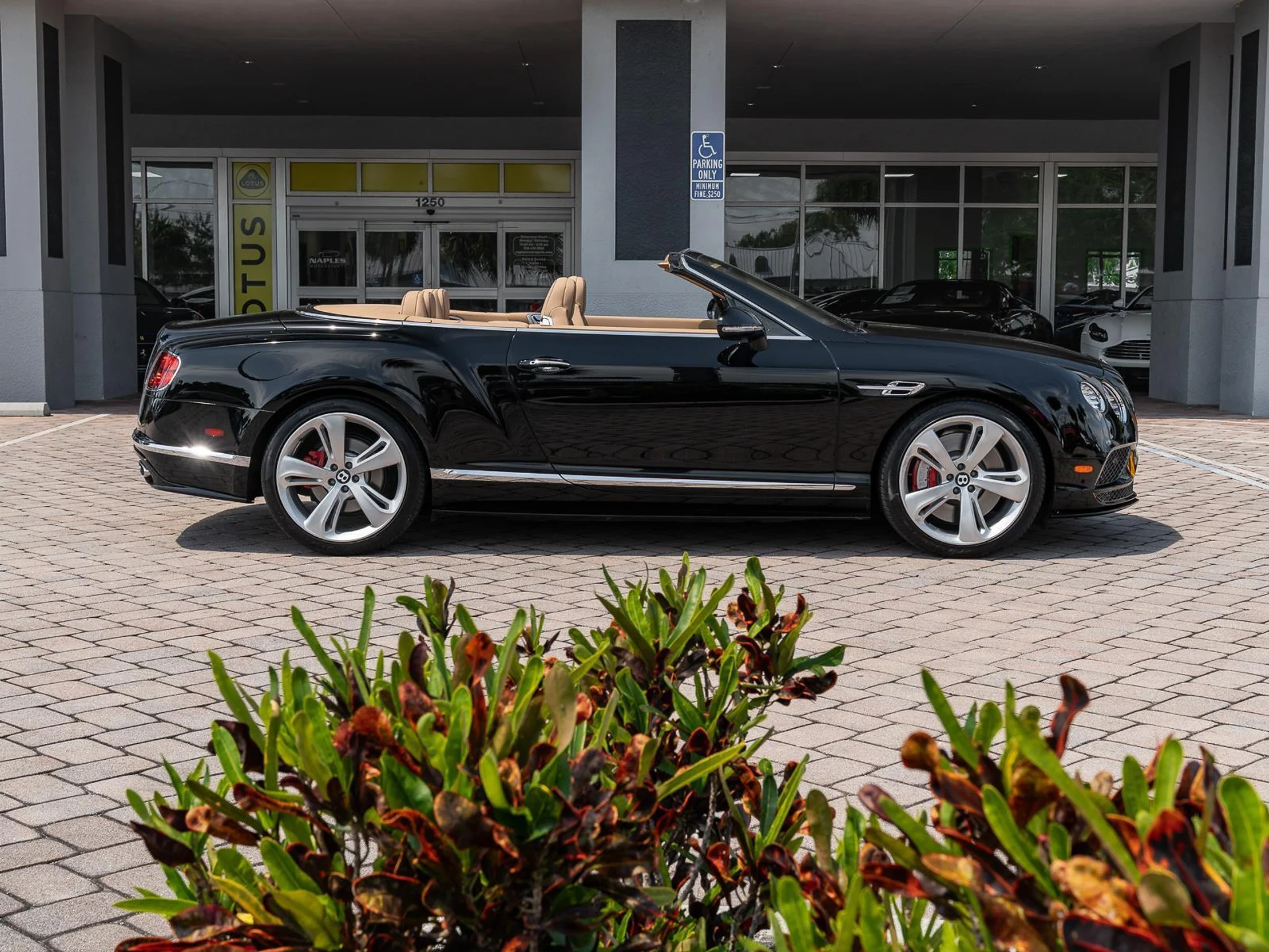 mph036_3747078401_Used_2016_Bentley_Continental_GT_Speed_1774476155_86a4438d4e