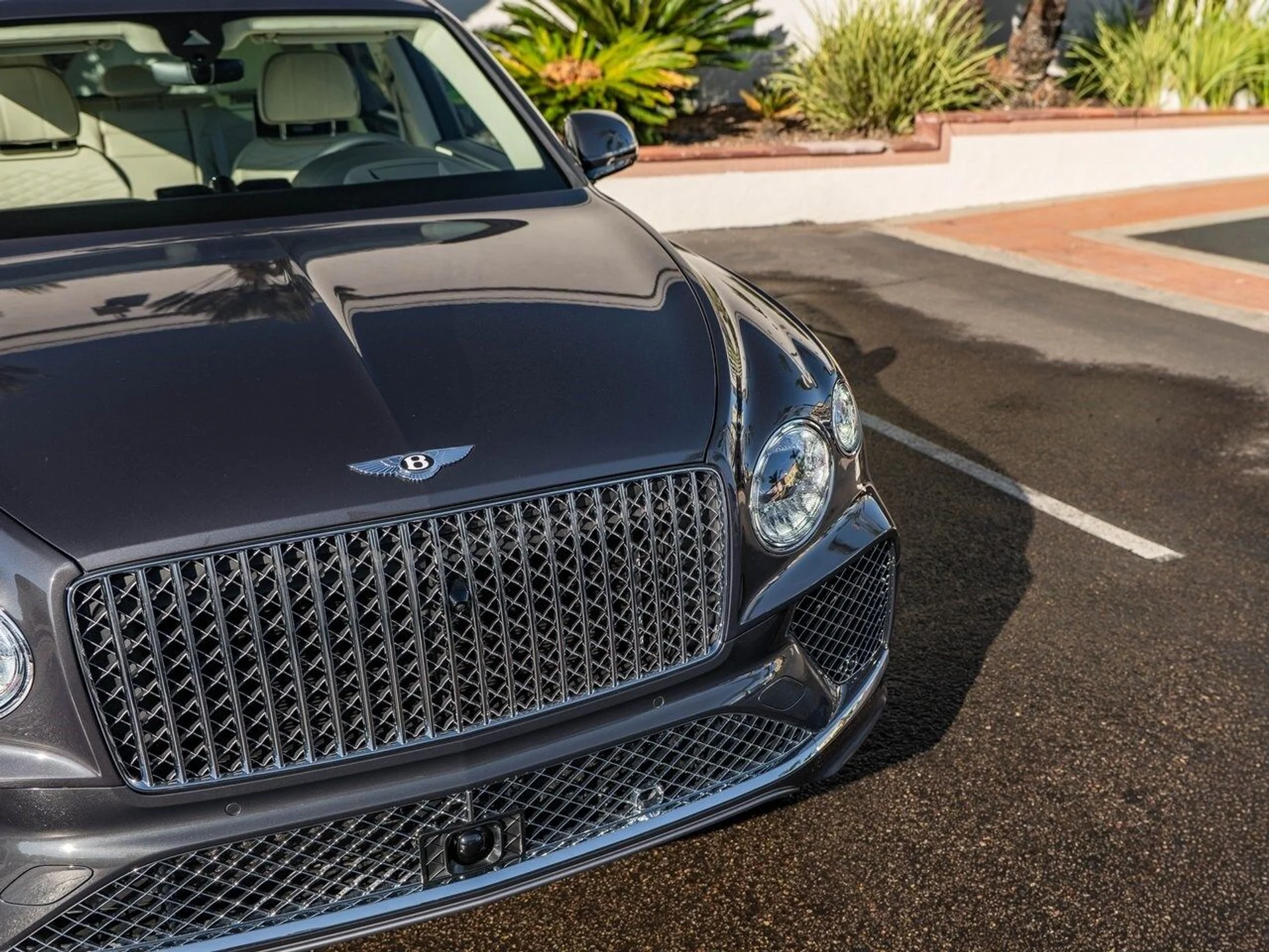 mph036_3839569744_35dd1fa4b7e37746d9111ed8cb005ad5x_2640c57f64