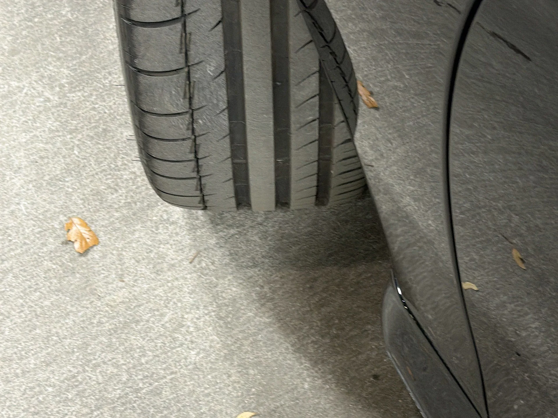 mph036_3960544698_a41ee6a49c32658da09d68c22df4eea9_df52ea289a