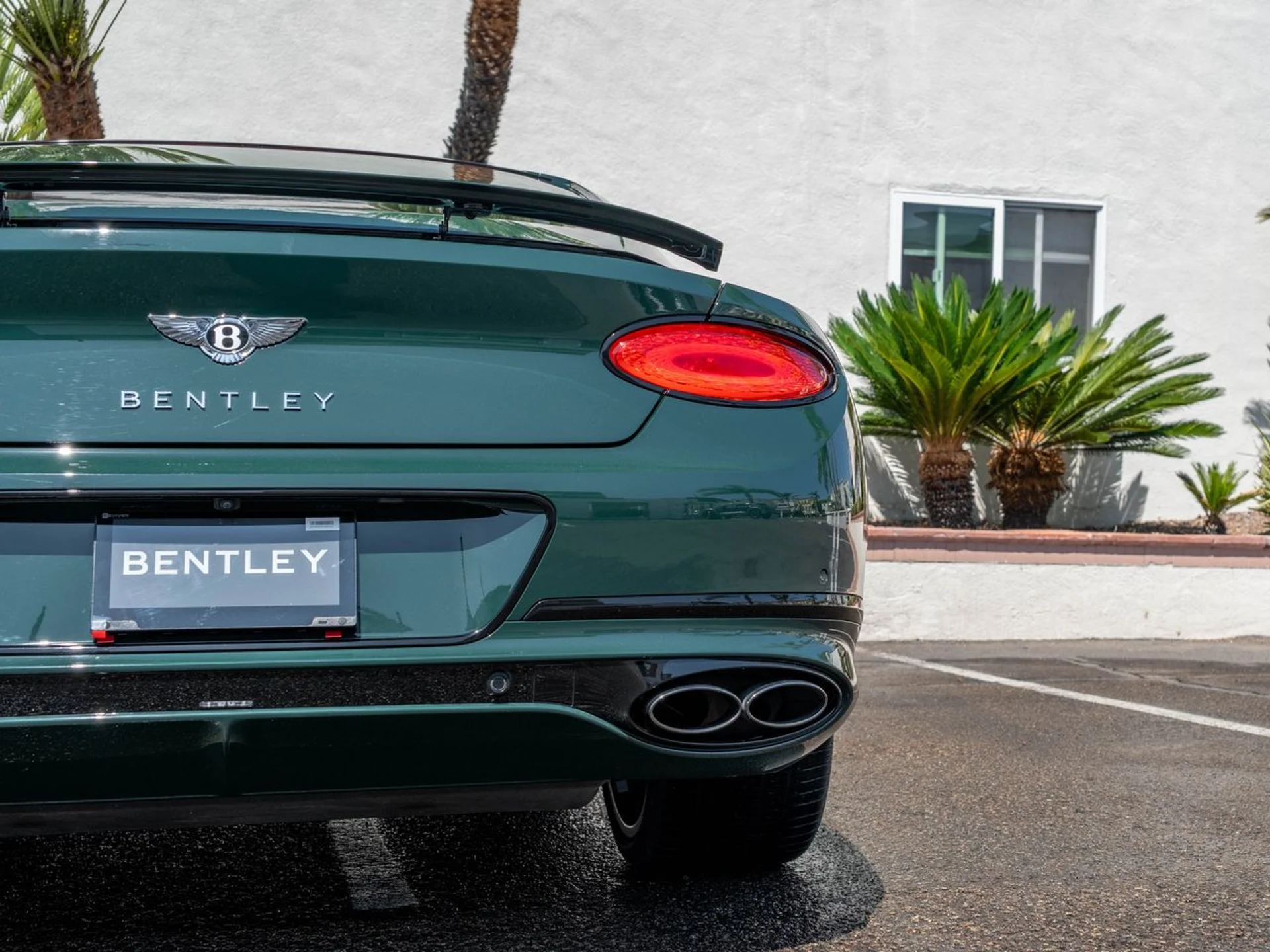 mph036_4066502830_7c9d93c00b4d9507b9632dc46a43a4efx_122689a7cc