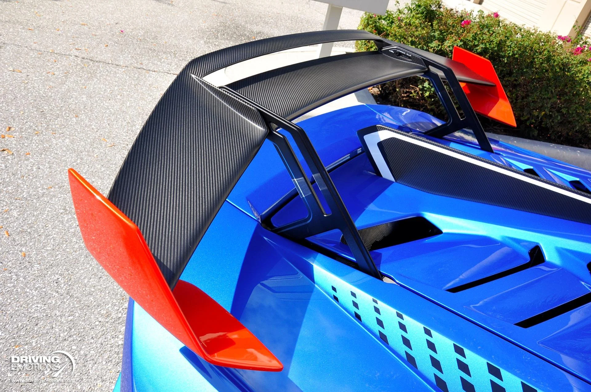 mph036_4228903677_743_p37_l_99a3e08139