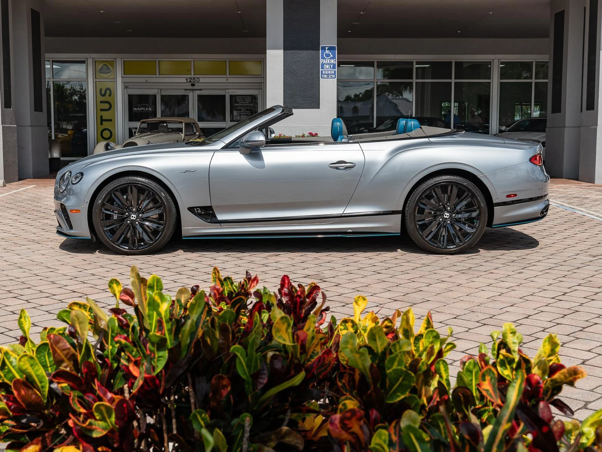 mph036_587428990_Used_2022_Bentley_Continental_GT_Speed_1783026698_e9ae78591e
