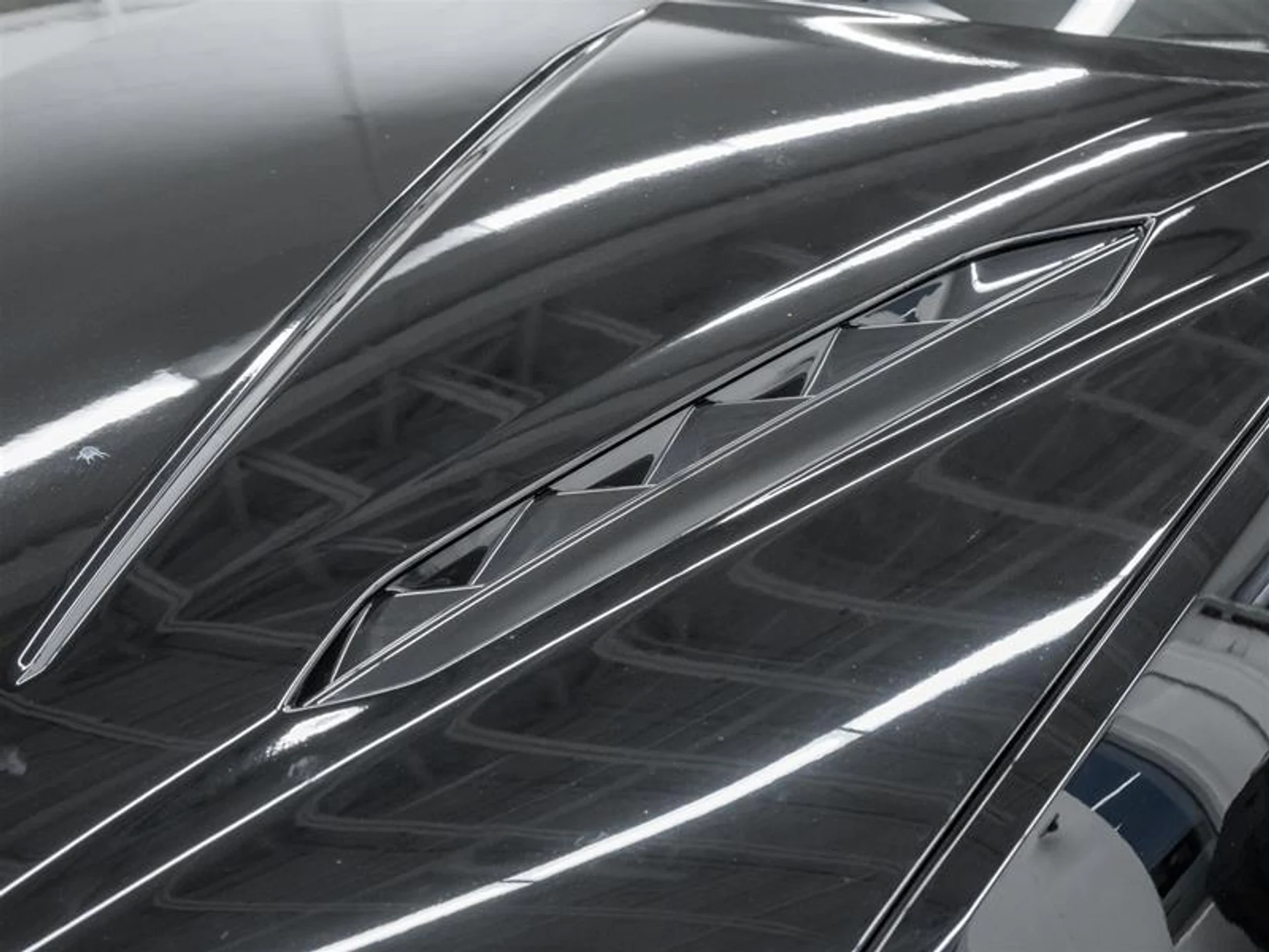 mph036_693914111_11639324_1552972730_d5345f7bff