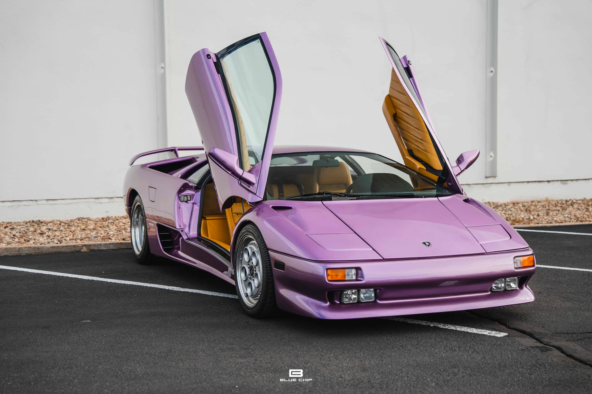 mph036_888784532_68965dd9490a82f410f7172c_DSC_02061_091622e61e