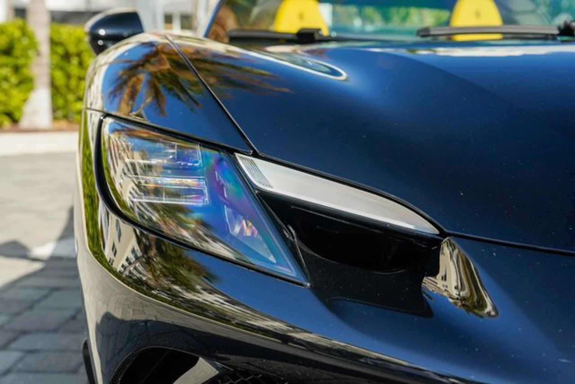 mph037_1337992246_22988453_38_74ee0943d4