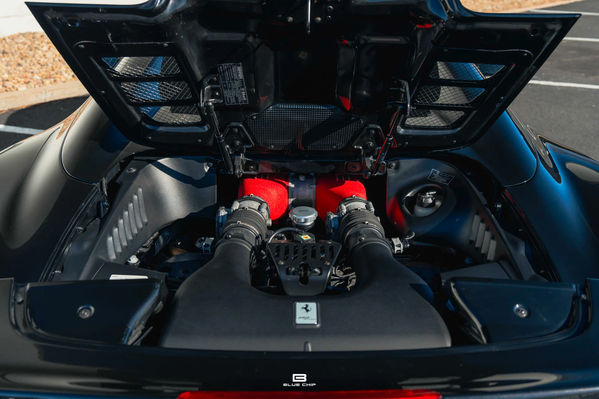 mph037_164866883_6954366b0f4742996020da0f_A7409326_20501900d8