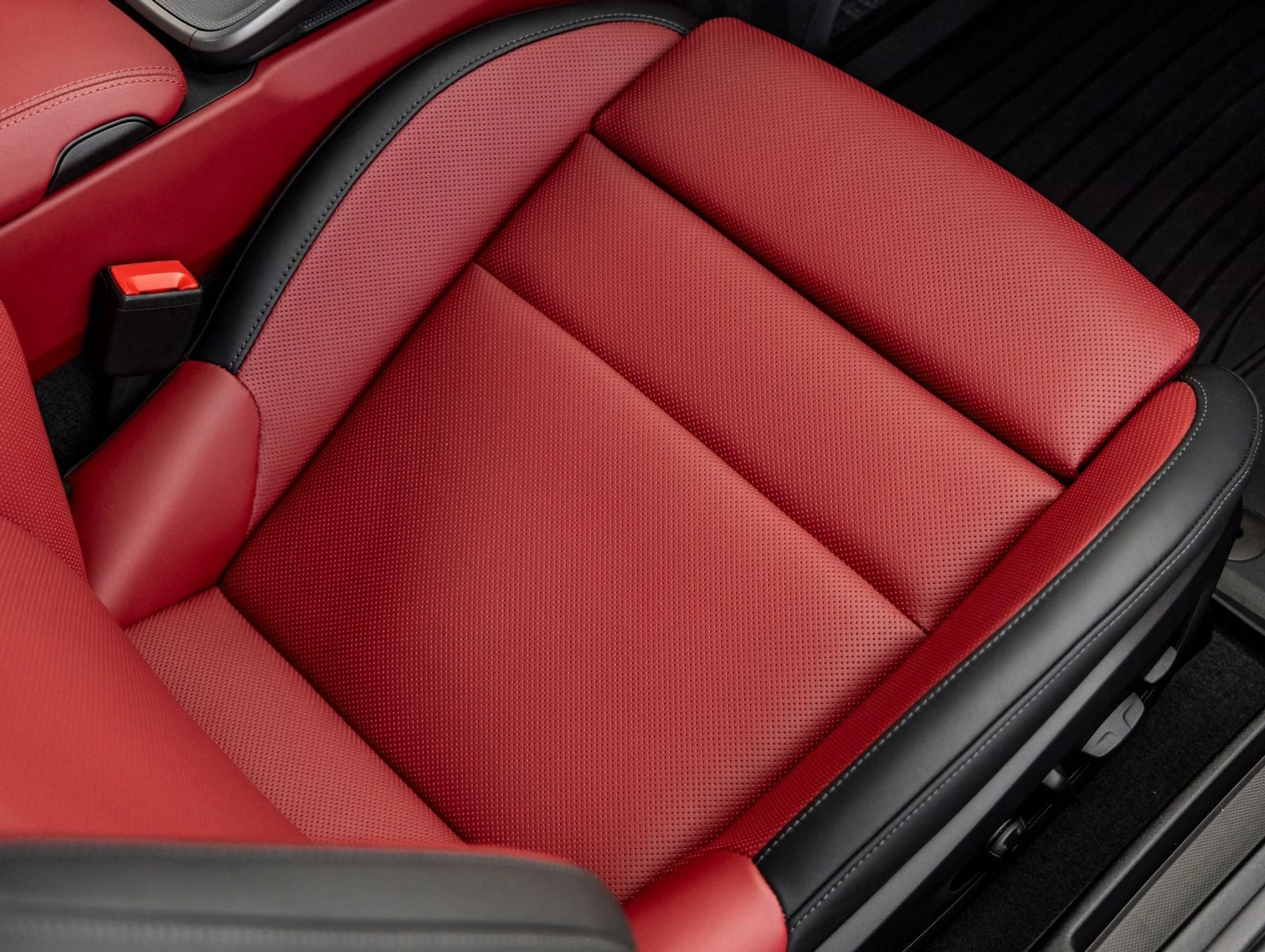 mph037_1780890127_38_1f2a4cad26