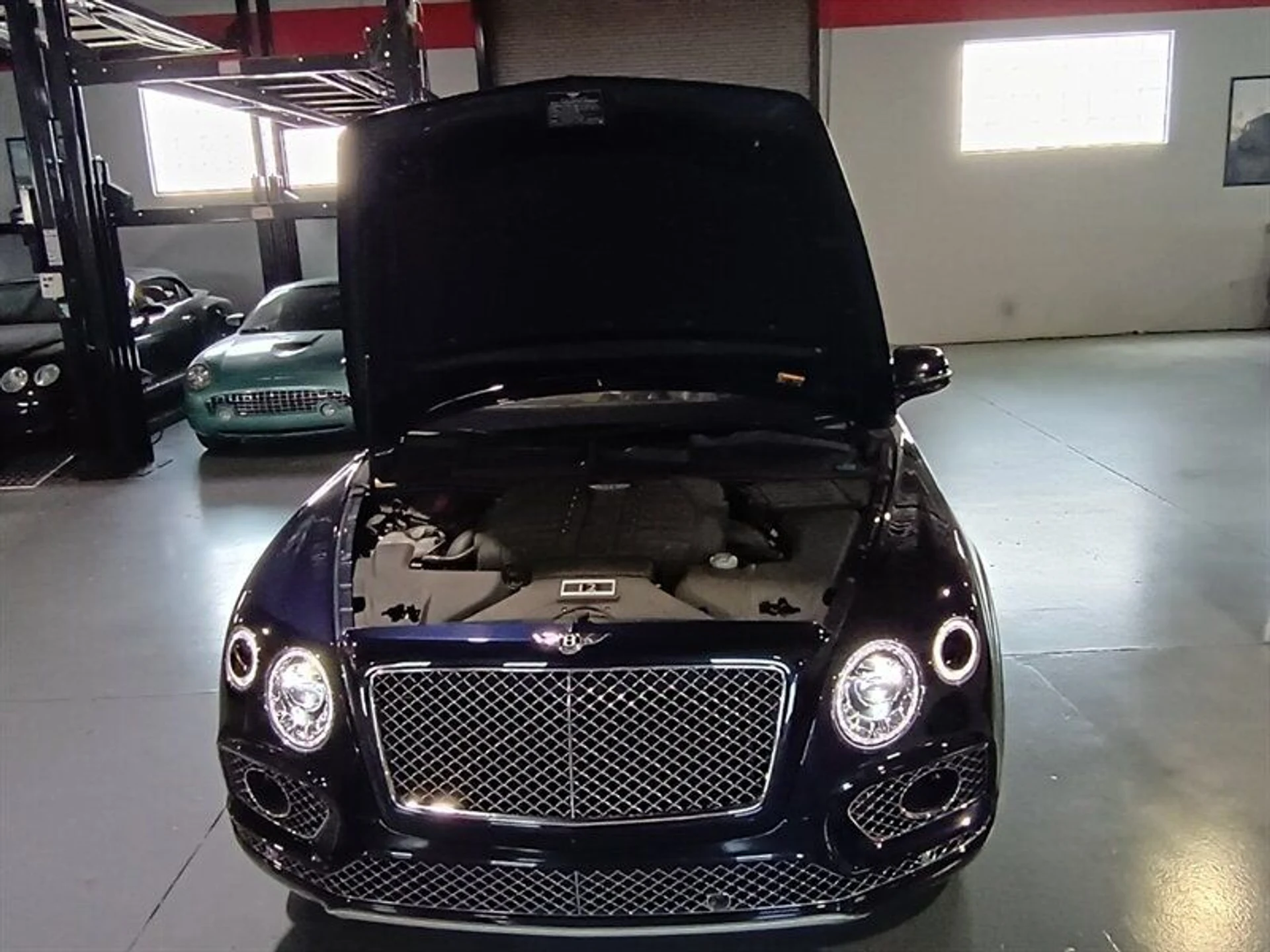 mph037_1970699981_82eac2b34e_800_37abea29e8