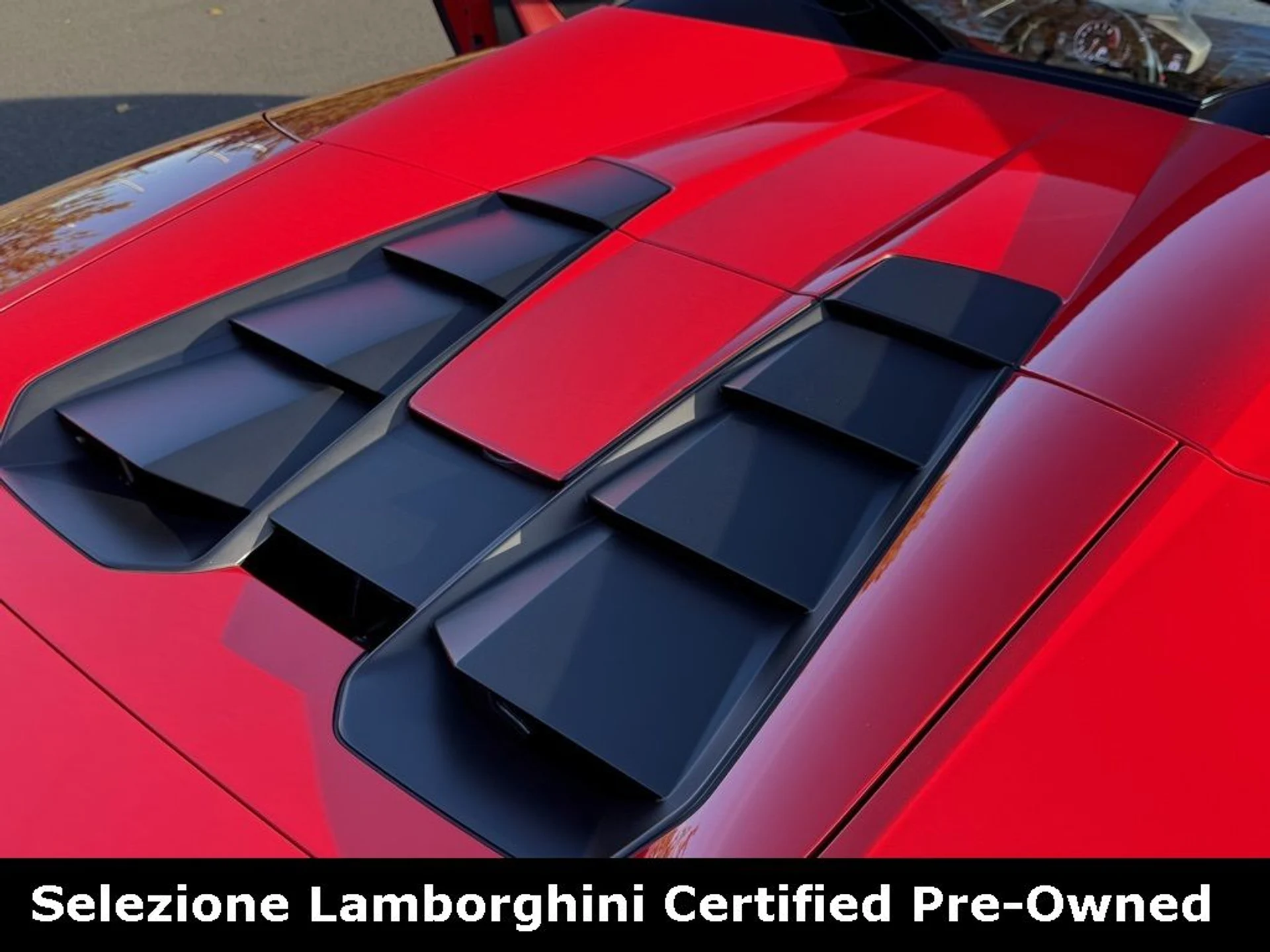 mph037_1983211823_92e0190f8007fb16d2b2aa8e5a86836bx_8081f150f7