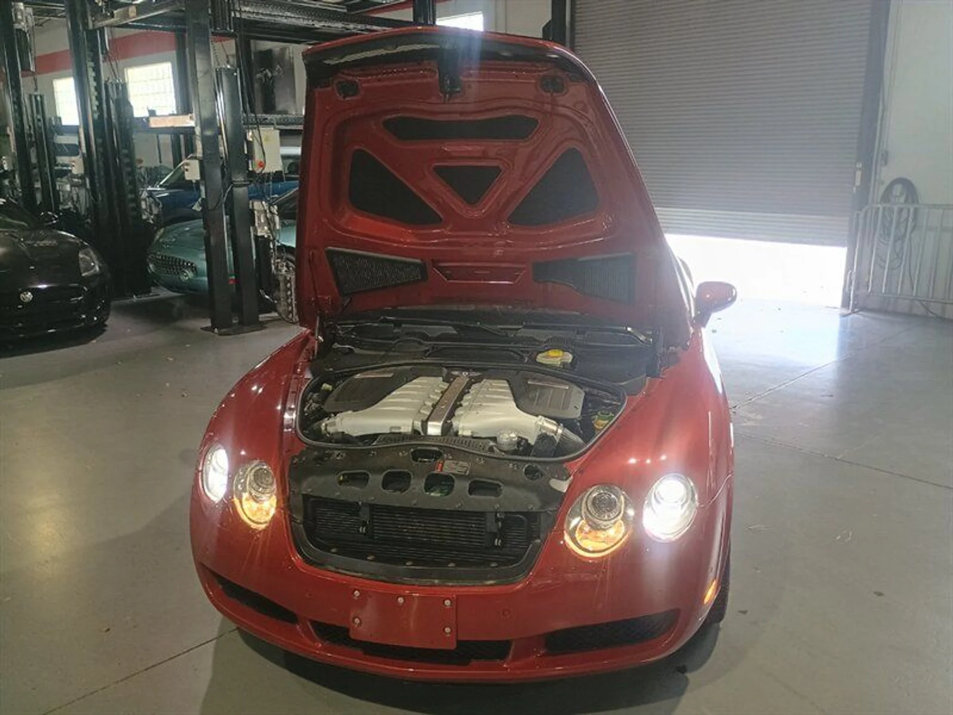 mph037_2024123520_e56ccaf396_800_0c80843b0e