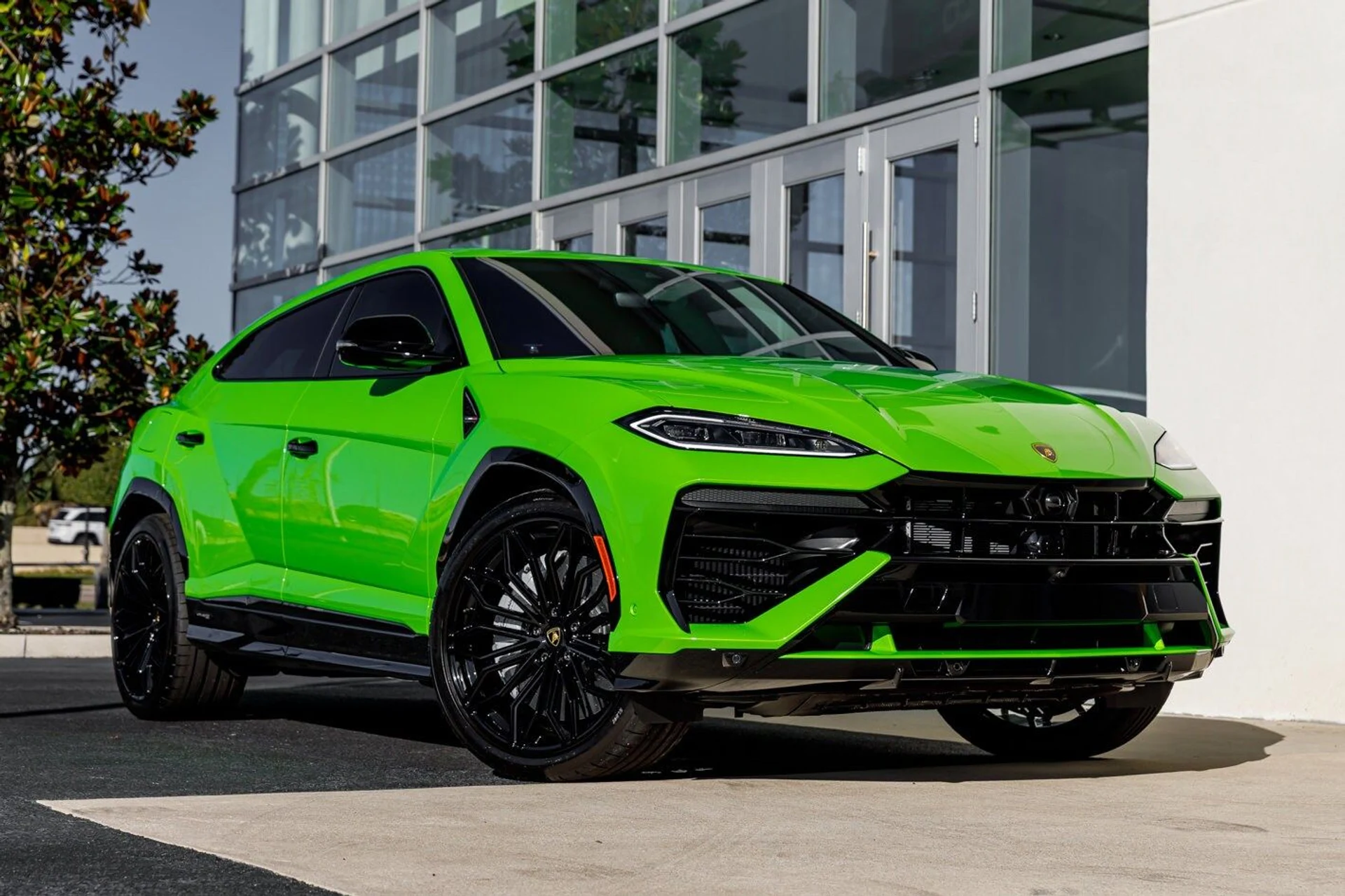 mph037_2231256098_5abd51444ee9cc8d7ecfa0d7f738f330x_524ac5ace7