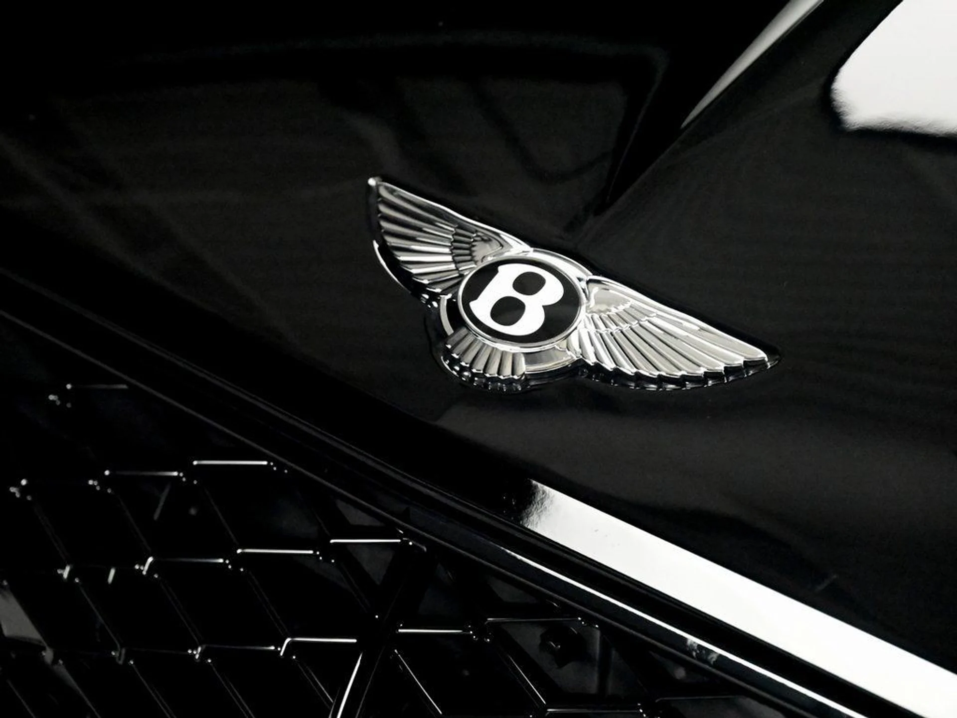 mph037_2317211456_e08a130ce03b405a46cc29a4a8da686b_7cca76f708