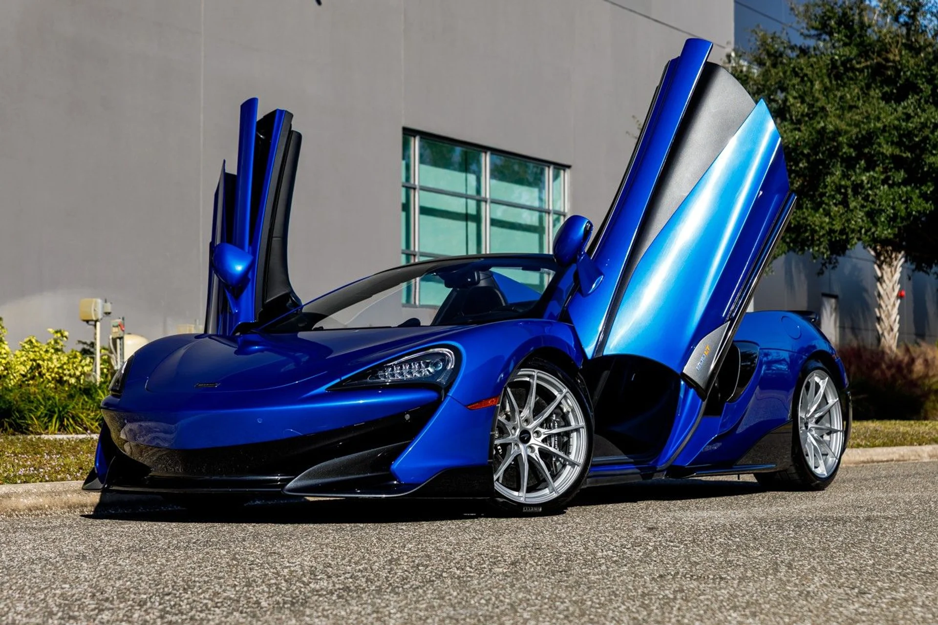 mph037_2378146588_14_p38_l_40b9786bfa