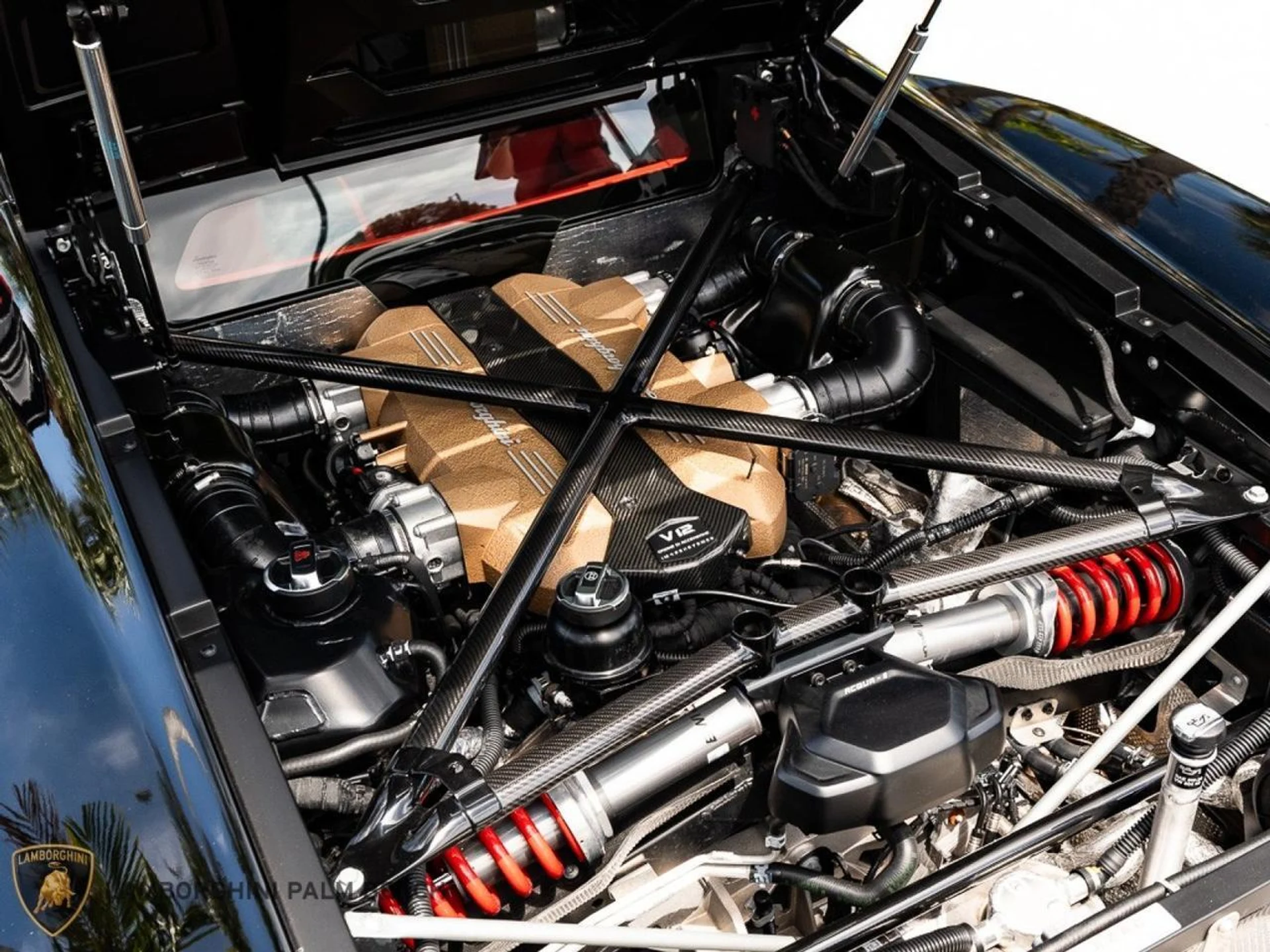 mph037_2549733440_4bdad5bf9e11f314727f5a4299c43ab2_cdee662364