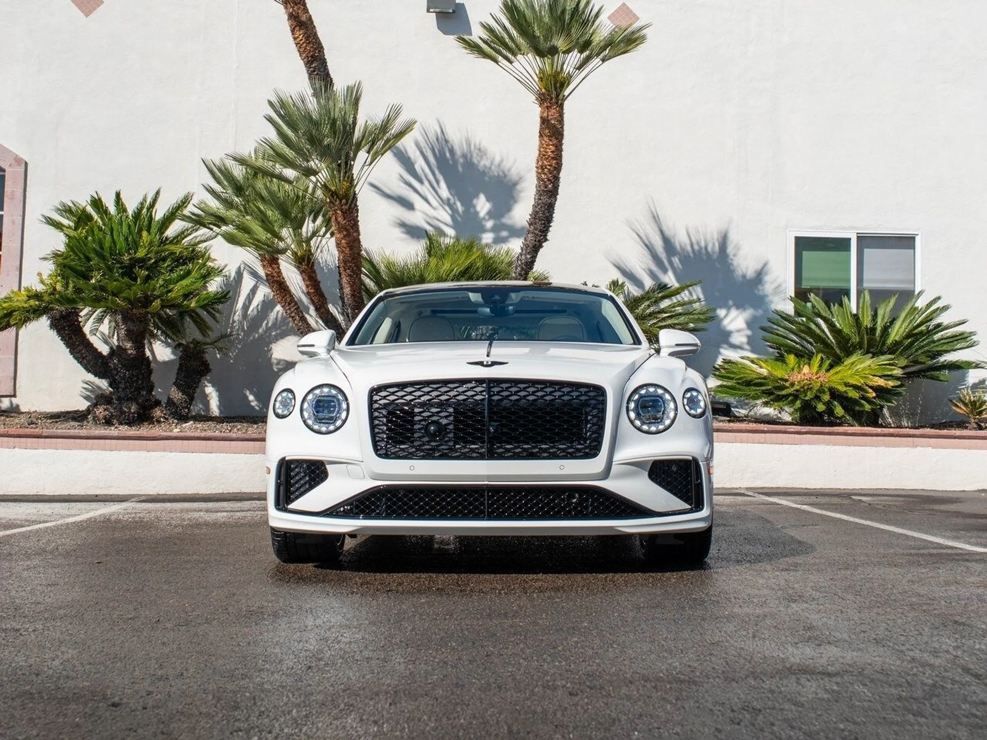 mph037_2588004085_9fb5bab02ad8897fb569a8c6fede943bx_76c41f5c9a